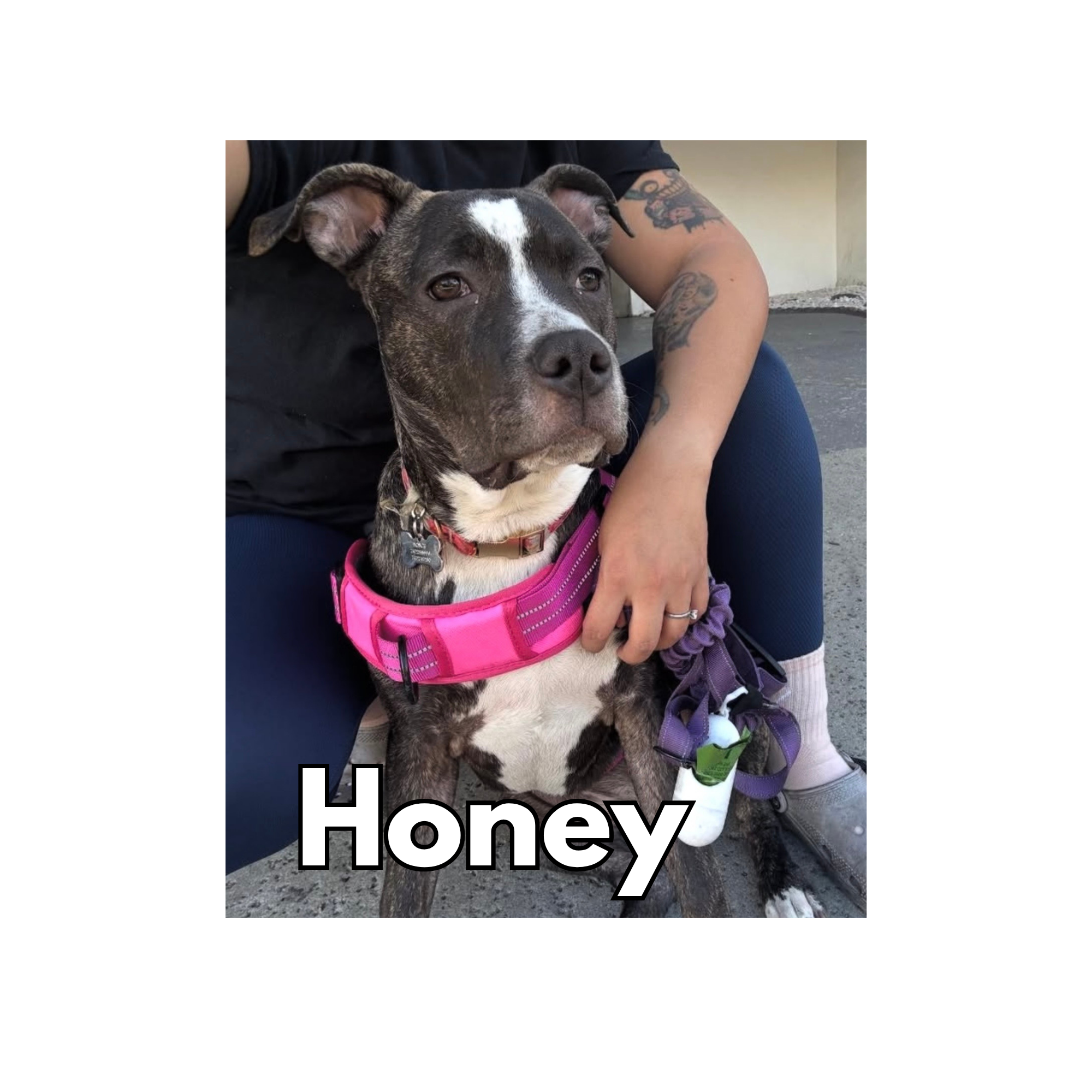 Honey