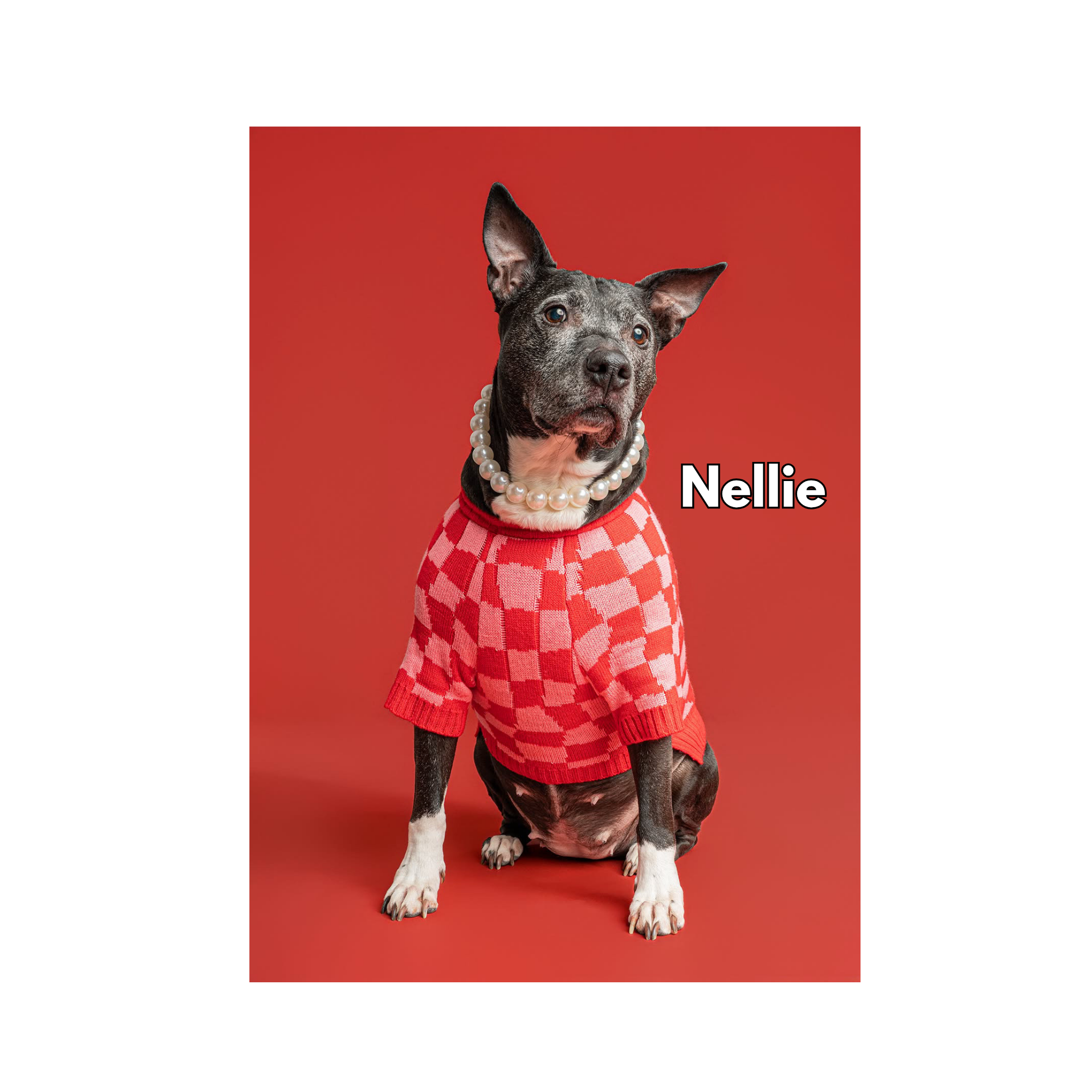 Nellie