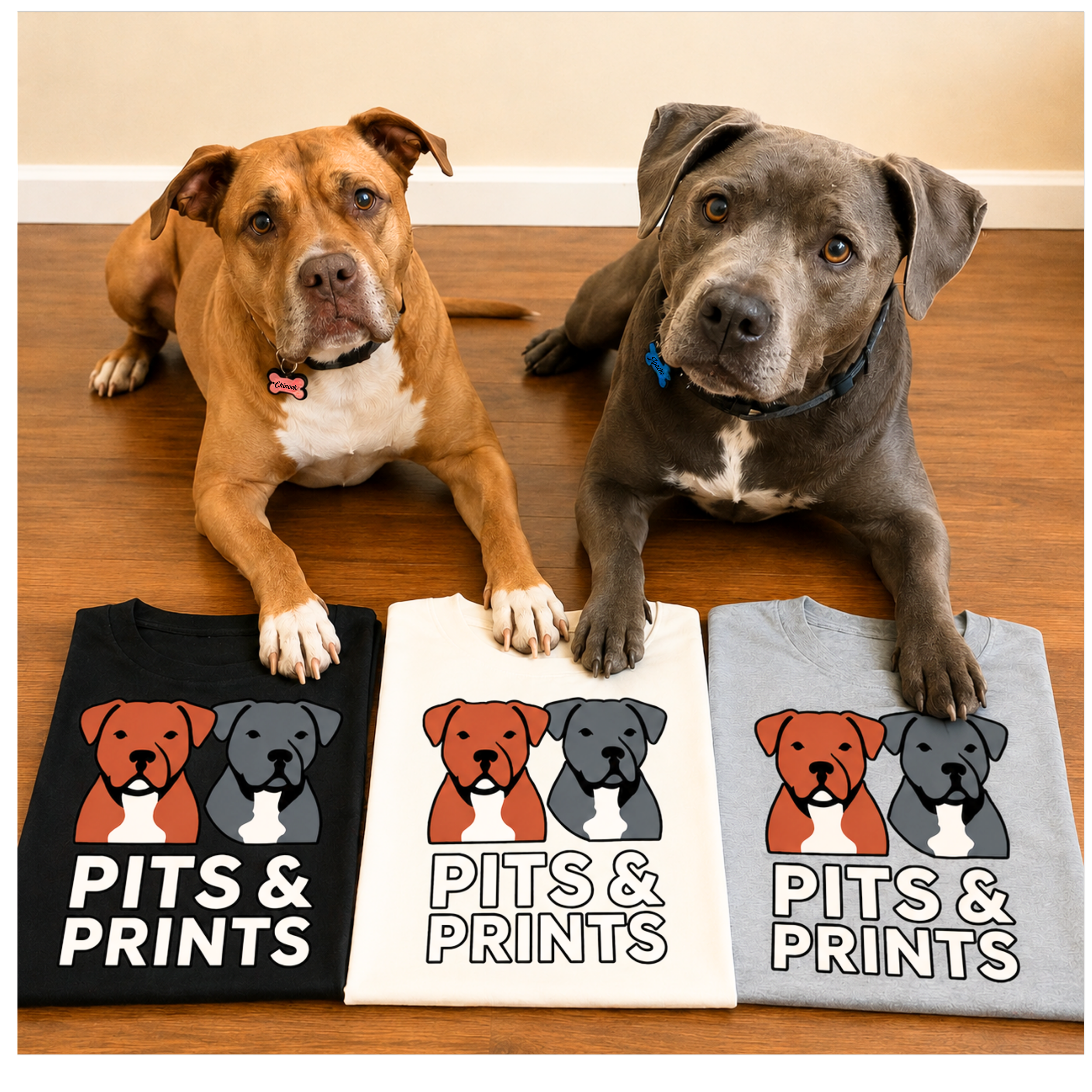 Chinook and Apache resting with folded Pits & Prints t-shirts