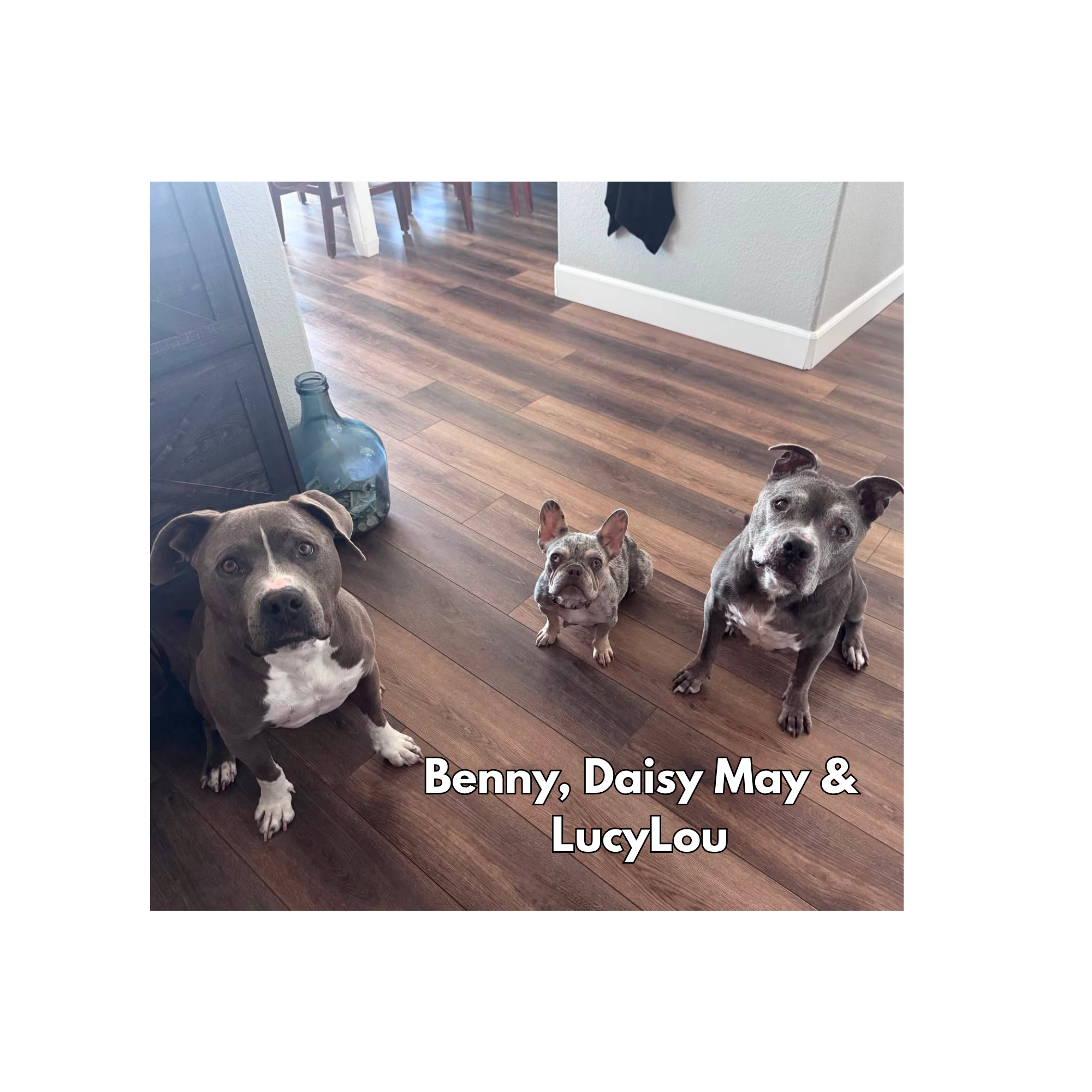 Benny, Daisy May & LucyLou