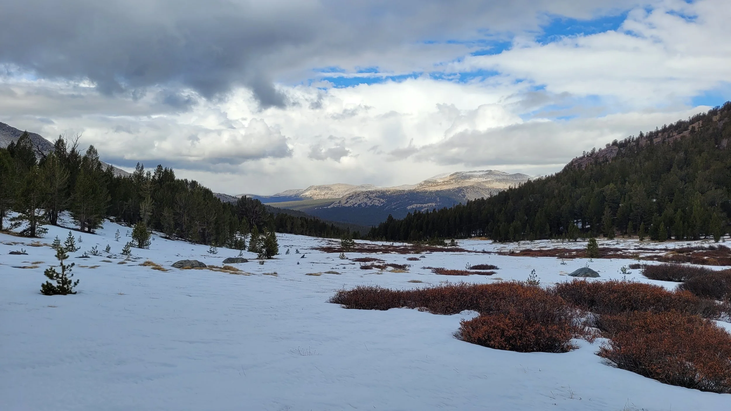 MONO PASS &amp; PARKER PASS