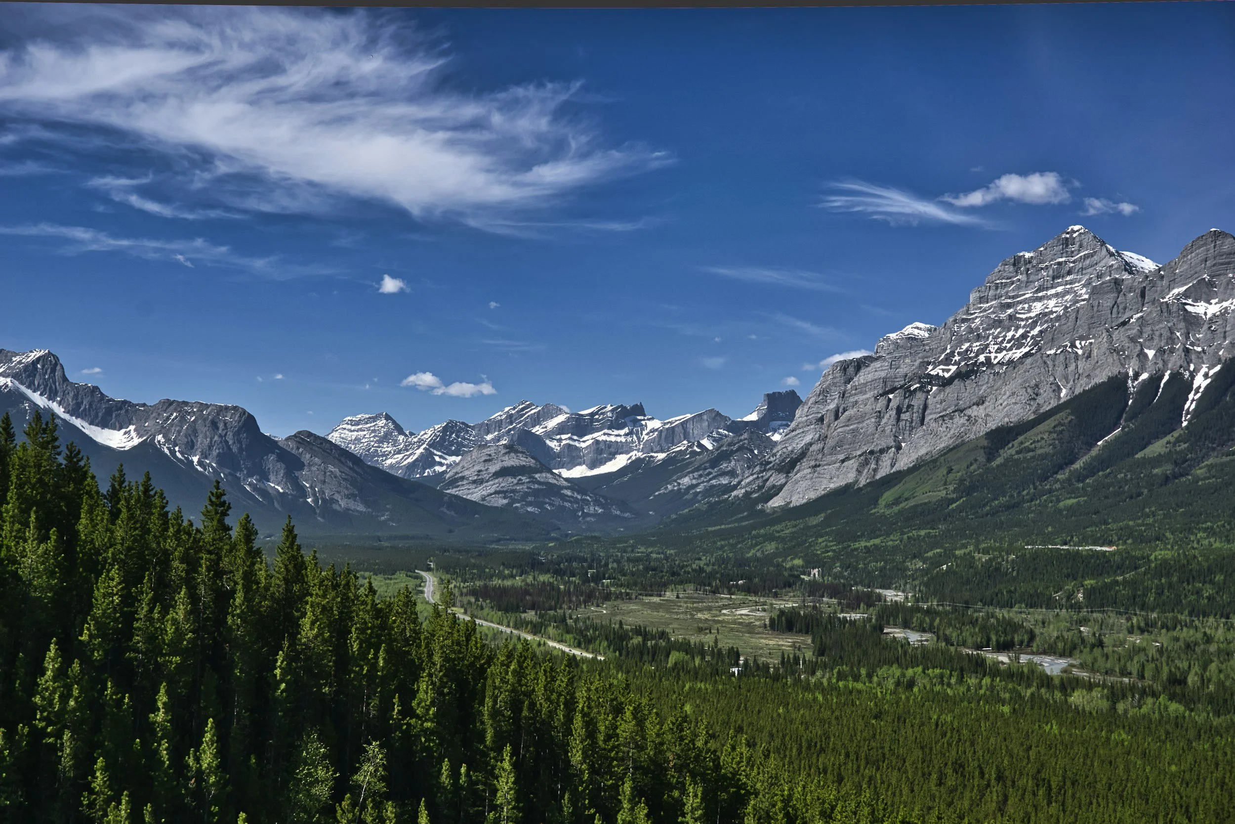 A mountain range with snow-capped peaks under a blue sky, with dense green forest in the foreground.