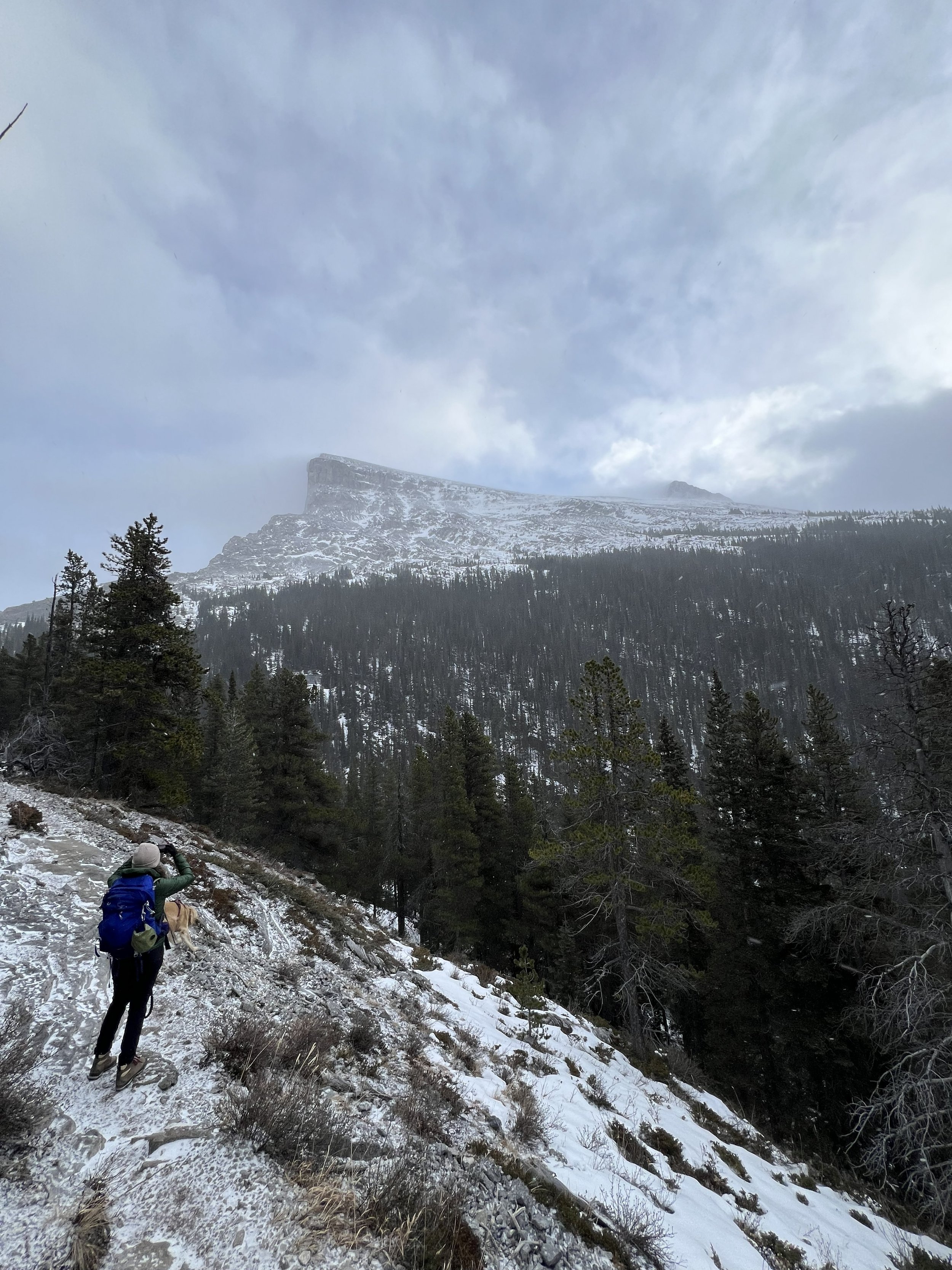 West Wind Pass: When Kananaskis Lives Up to Its Name