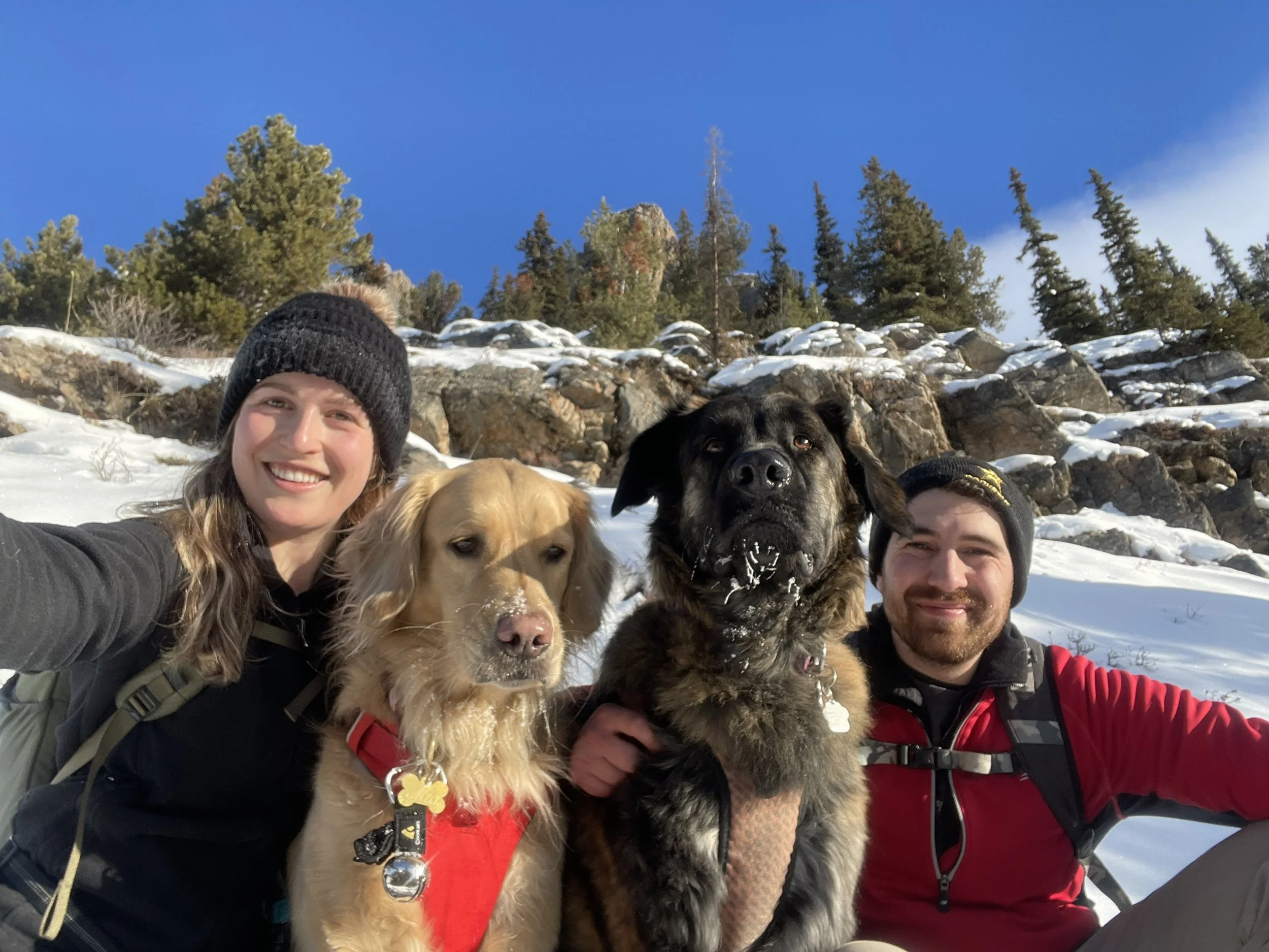 Castle Mountain Lookout — A Reliable Favourite in Every Season