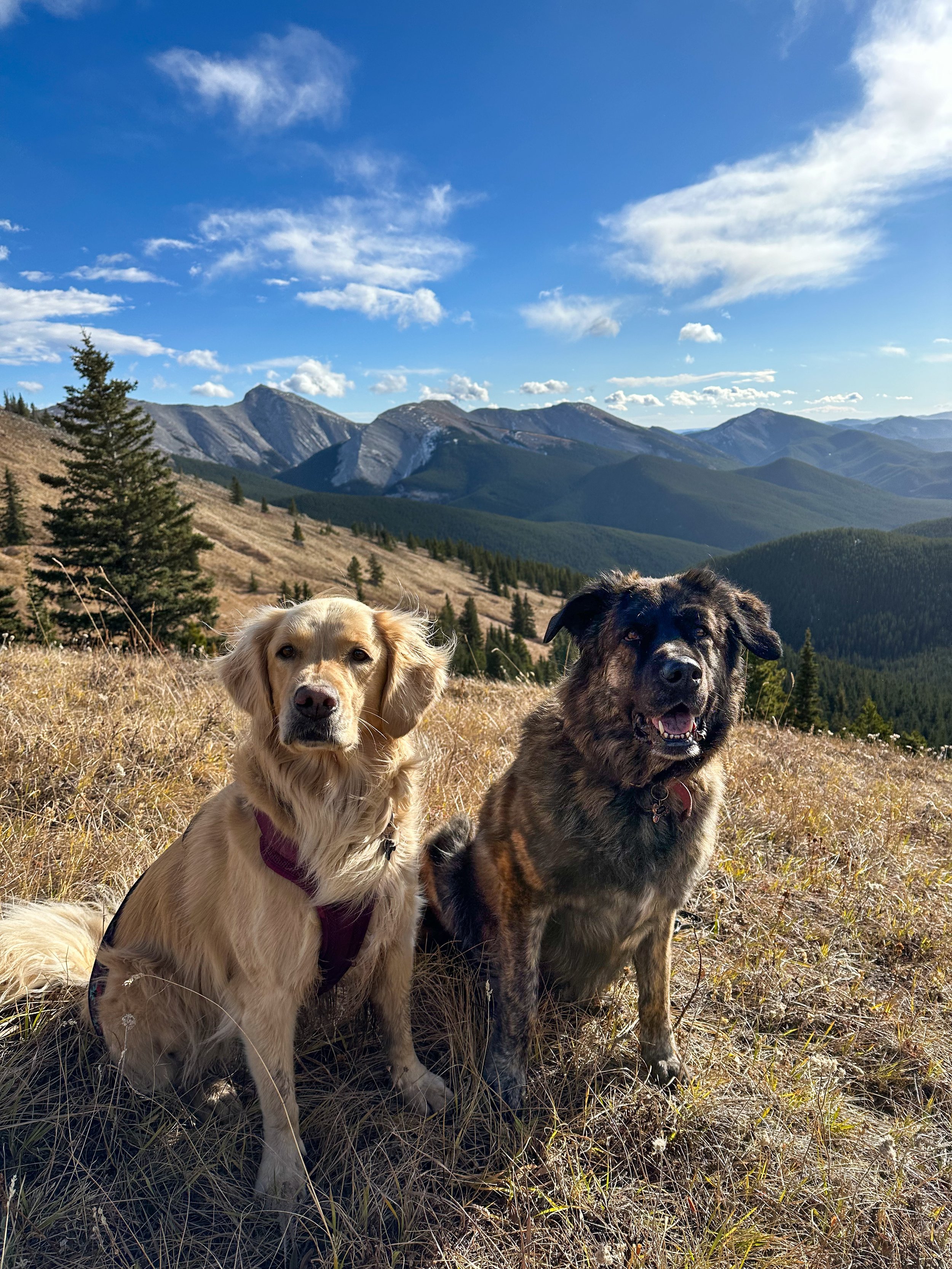 Jumpingpound Summit -  A Front-Range Classic 
