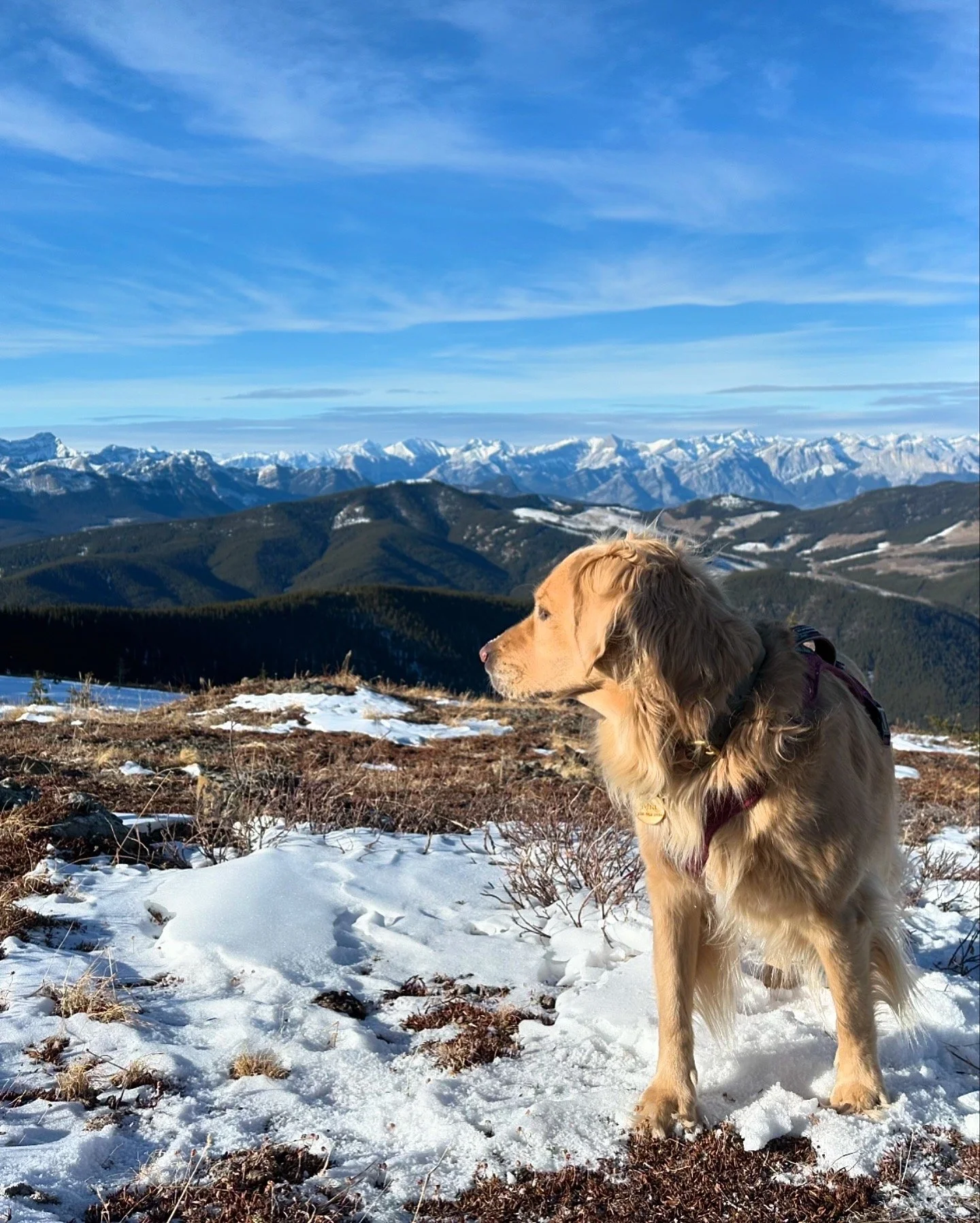 How to Stay Motivated for Winter Hiking (Even When It’s Miserable Out)