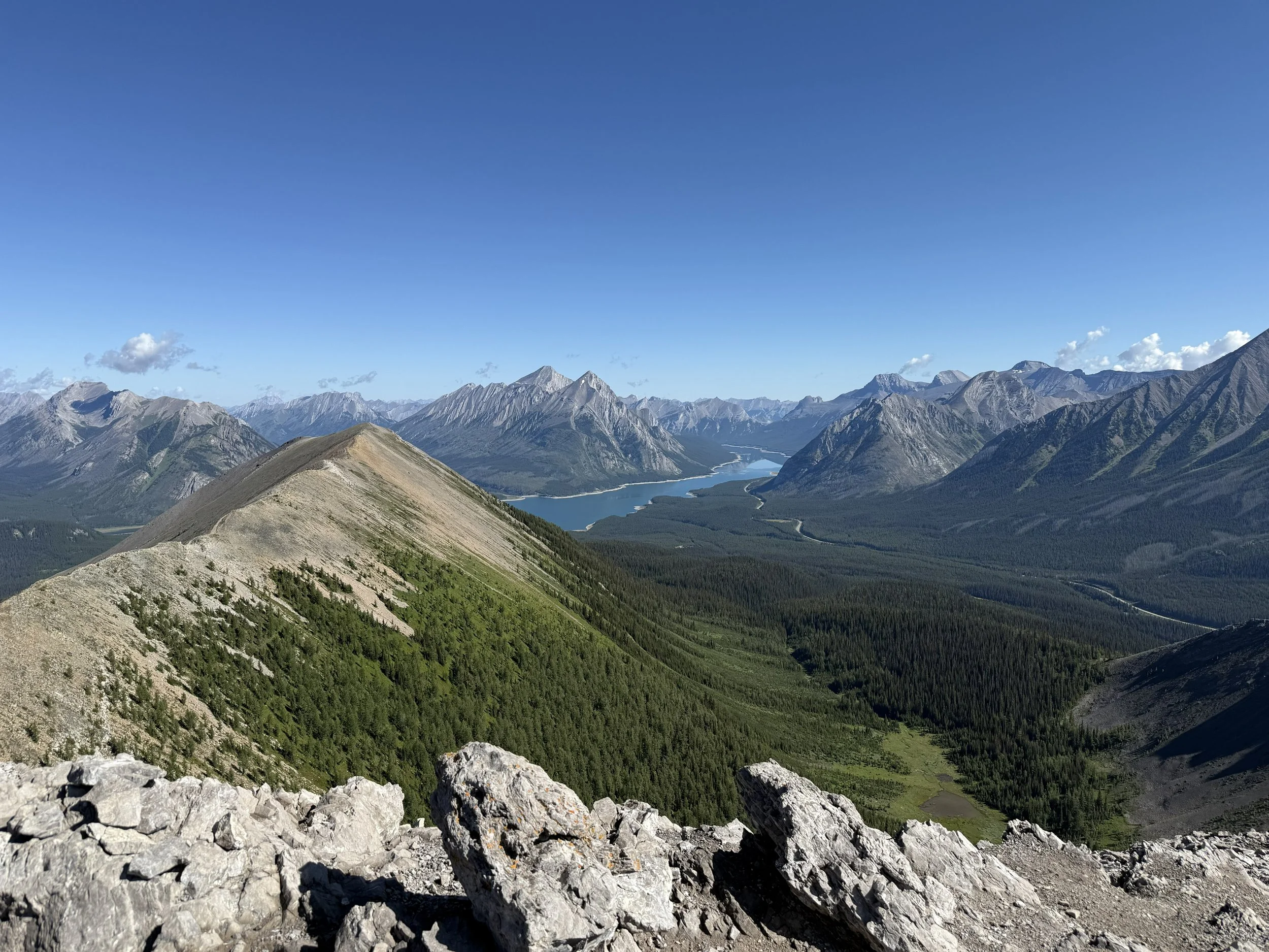 A panoramic view of a mountain range with rocky peaks, green forested valleys, and a lake in the distance on a clear blue day.