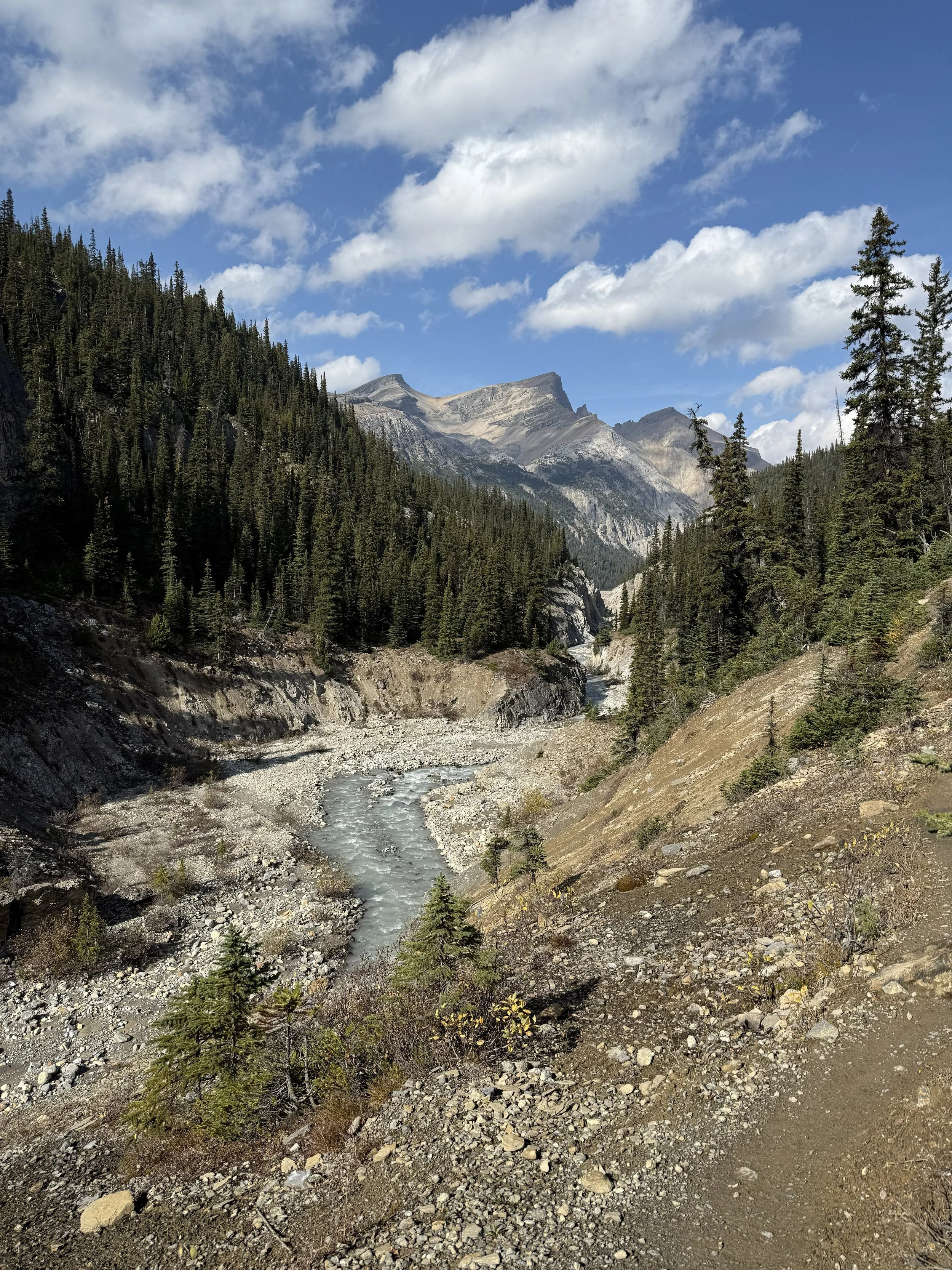 A mountain landscape with a river running through a rocky valley, surrounded by dense evergreen trees and distant mountain peaks under a partly cloudy blue sky.