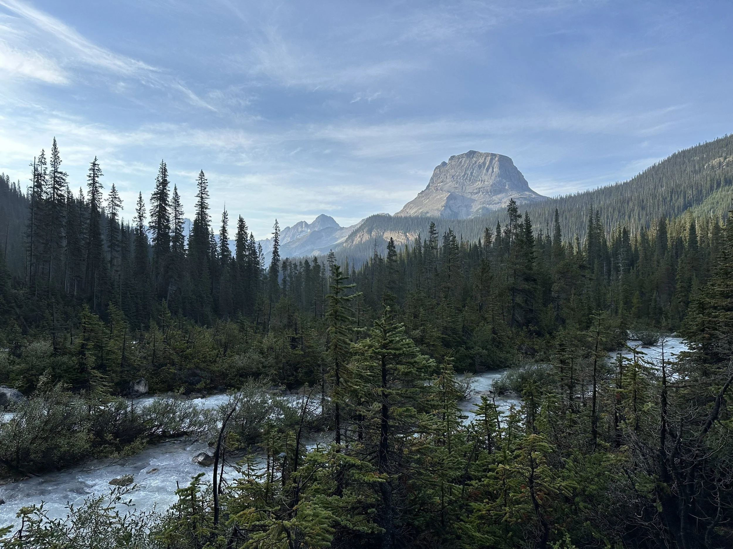 A scenic view of a mountain surrounded by evergreen trees, with a river flowing through the forest in the foreground, under a partly cloudy sky.