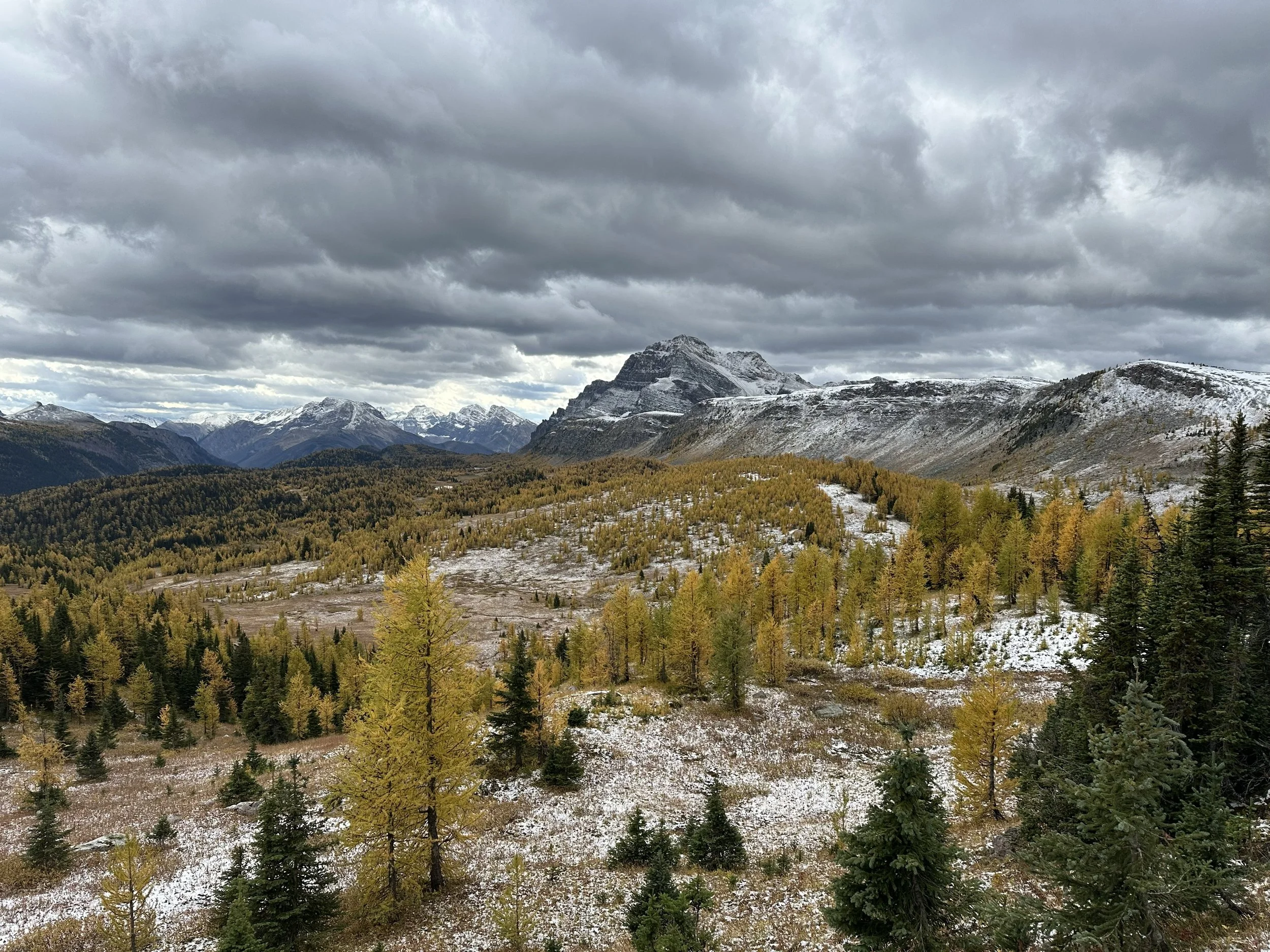 Mountain landscape with snow-capped peaks, dense forest, and cloudy sky.