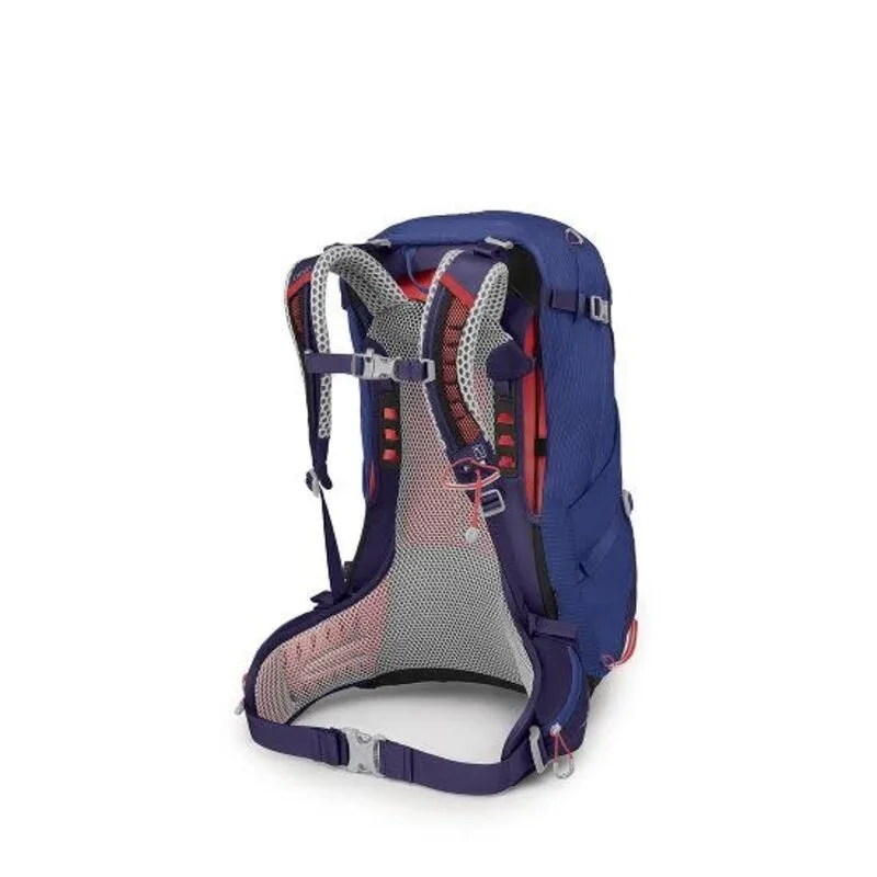 Blue and red hiking backpack with adjustable straps and breathable mesh padding.