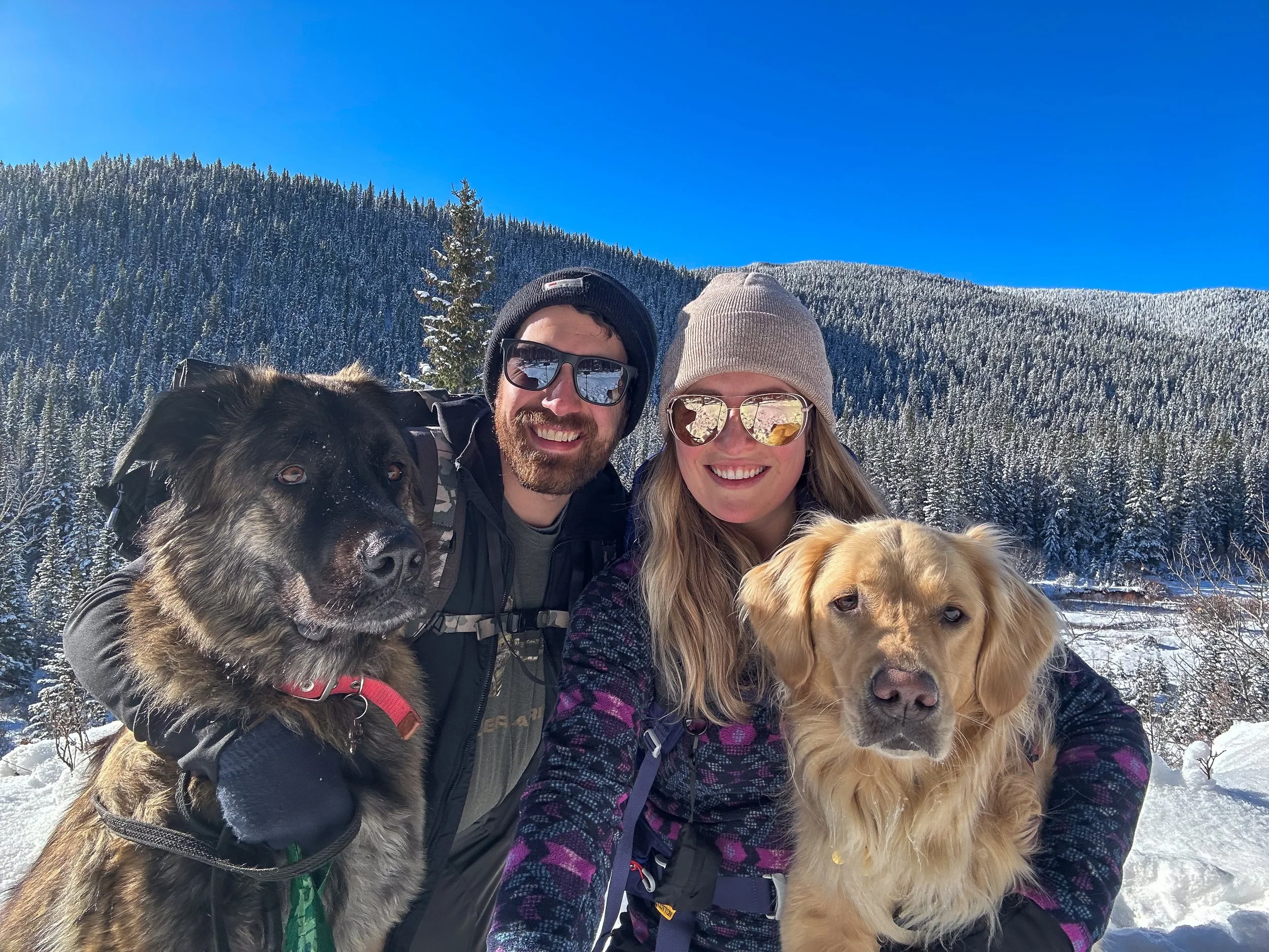 A smiling man and woman in winter clothing and sunglasses, posing outdoors with two dogs in a snowy mountain landscape.