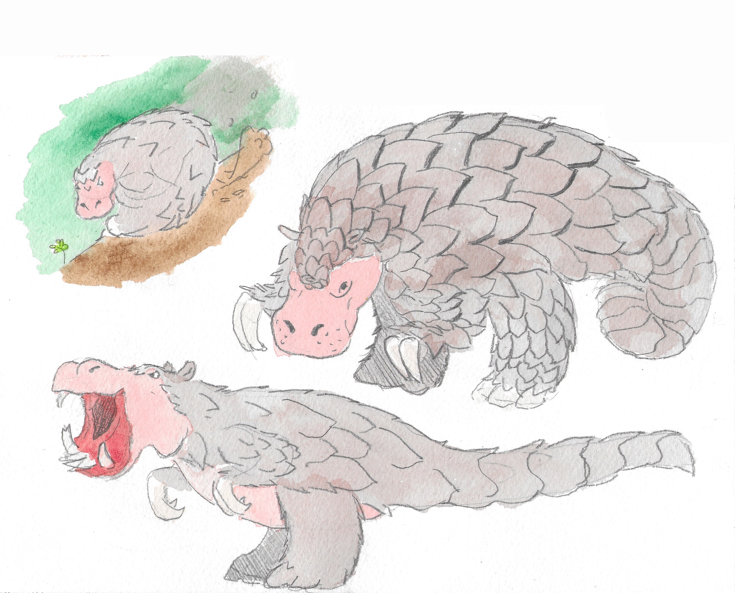 pangolin-hippo.png