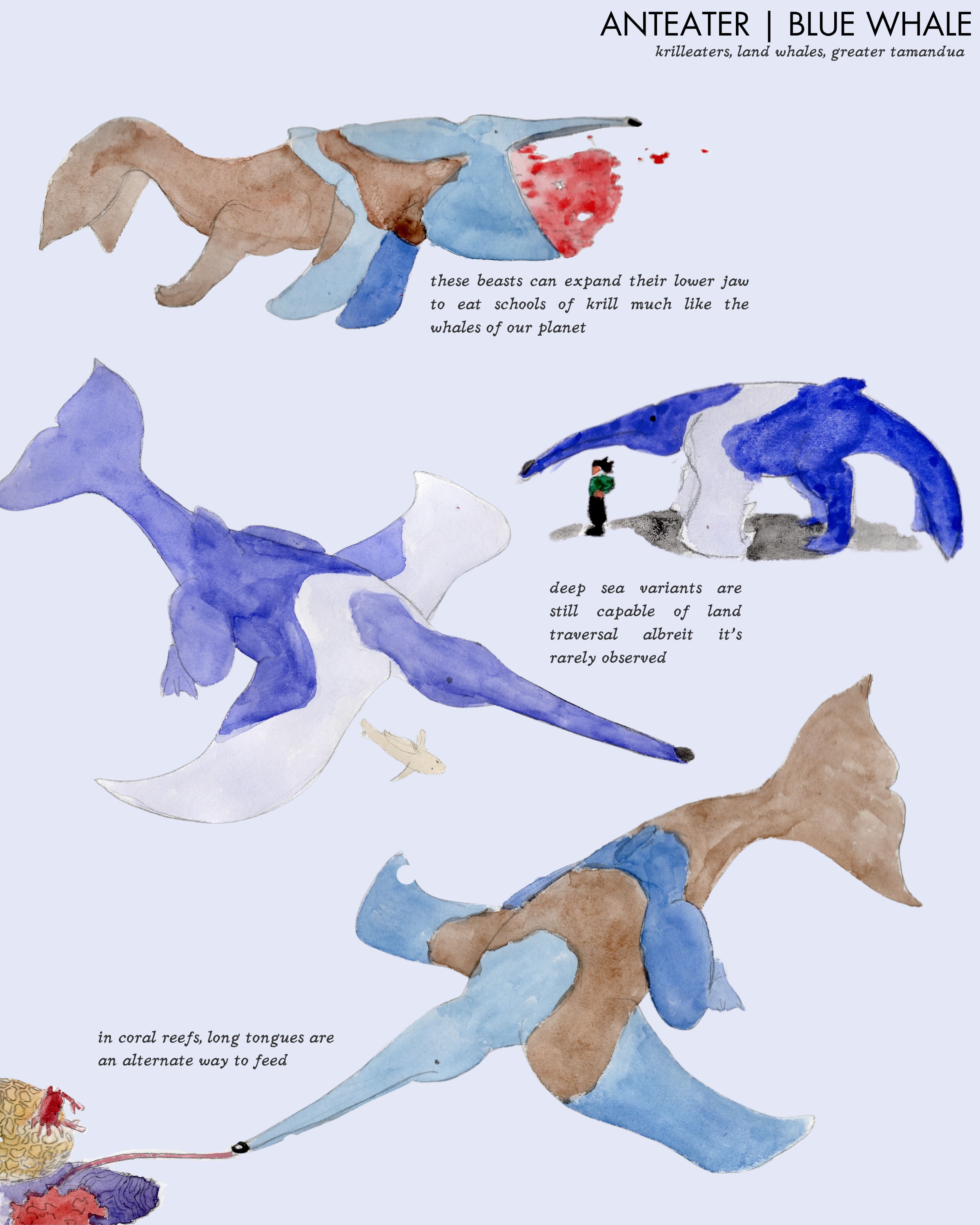 chimera 2 anteater  blue whale.png