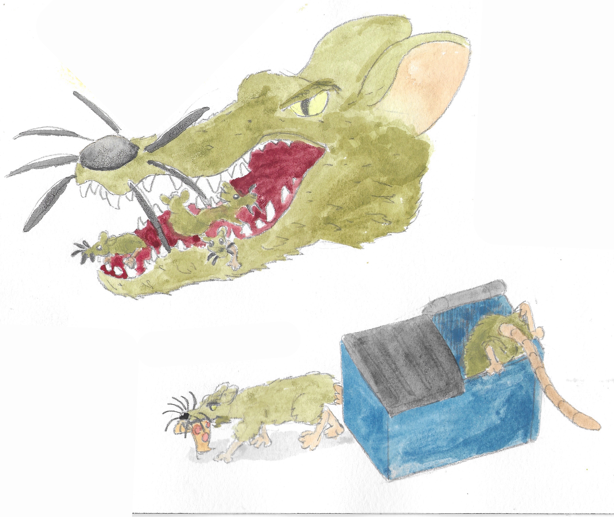 alligator-rat.png