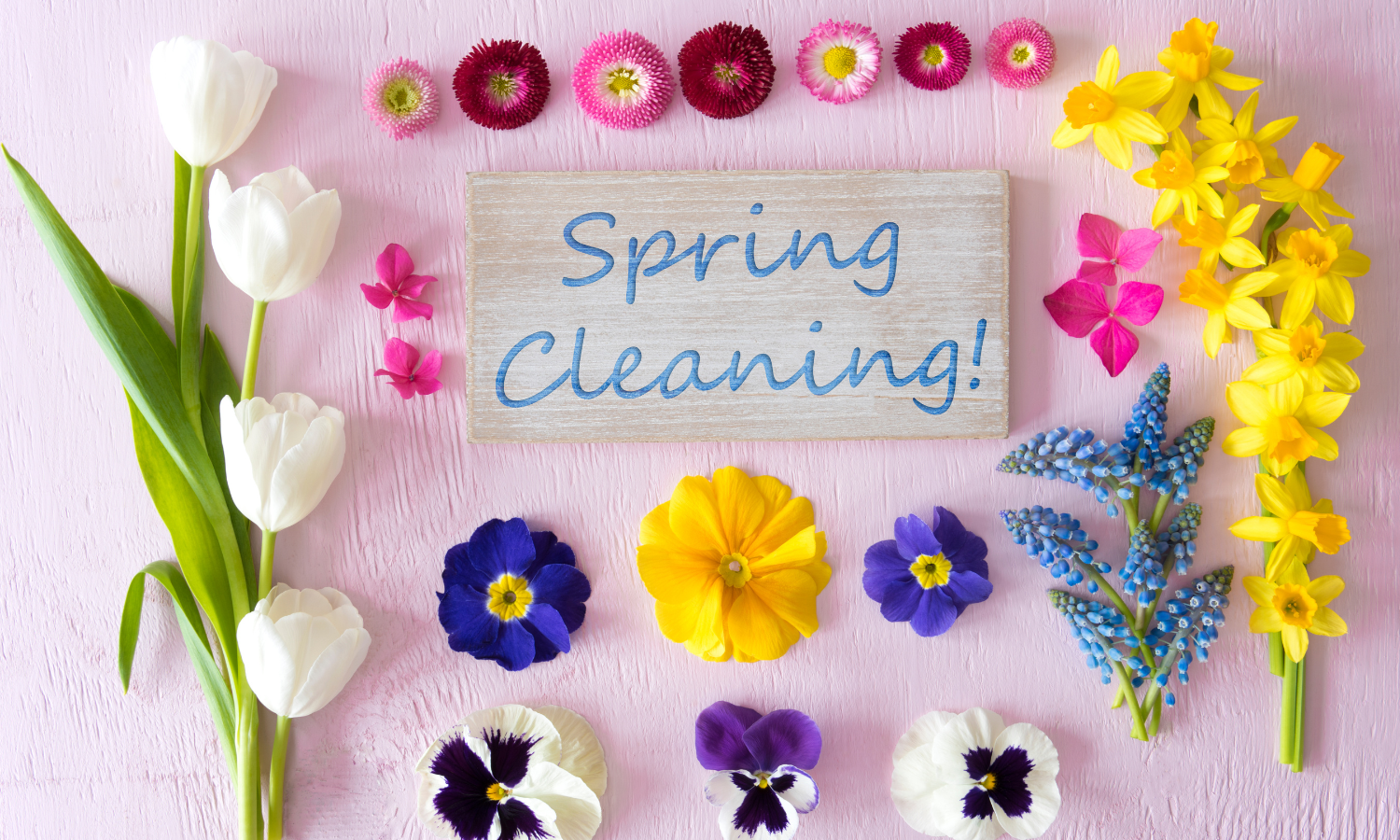 Spring Cleaning Tips for Boise Residents