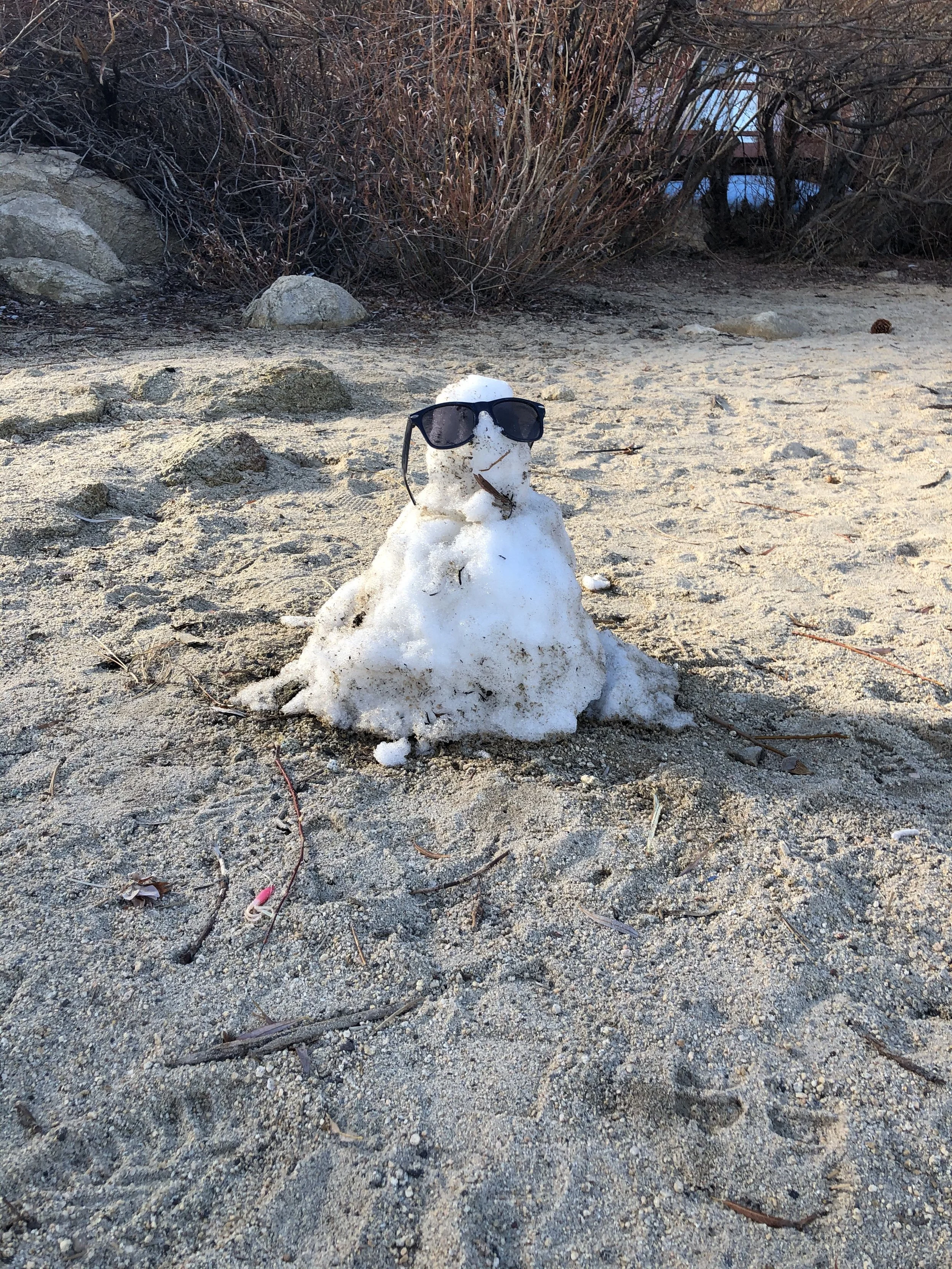 resilience even in challenging conditions