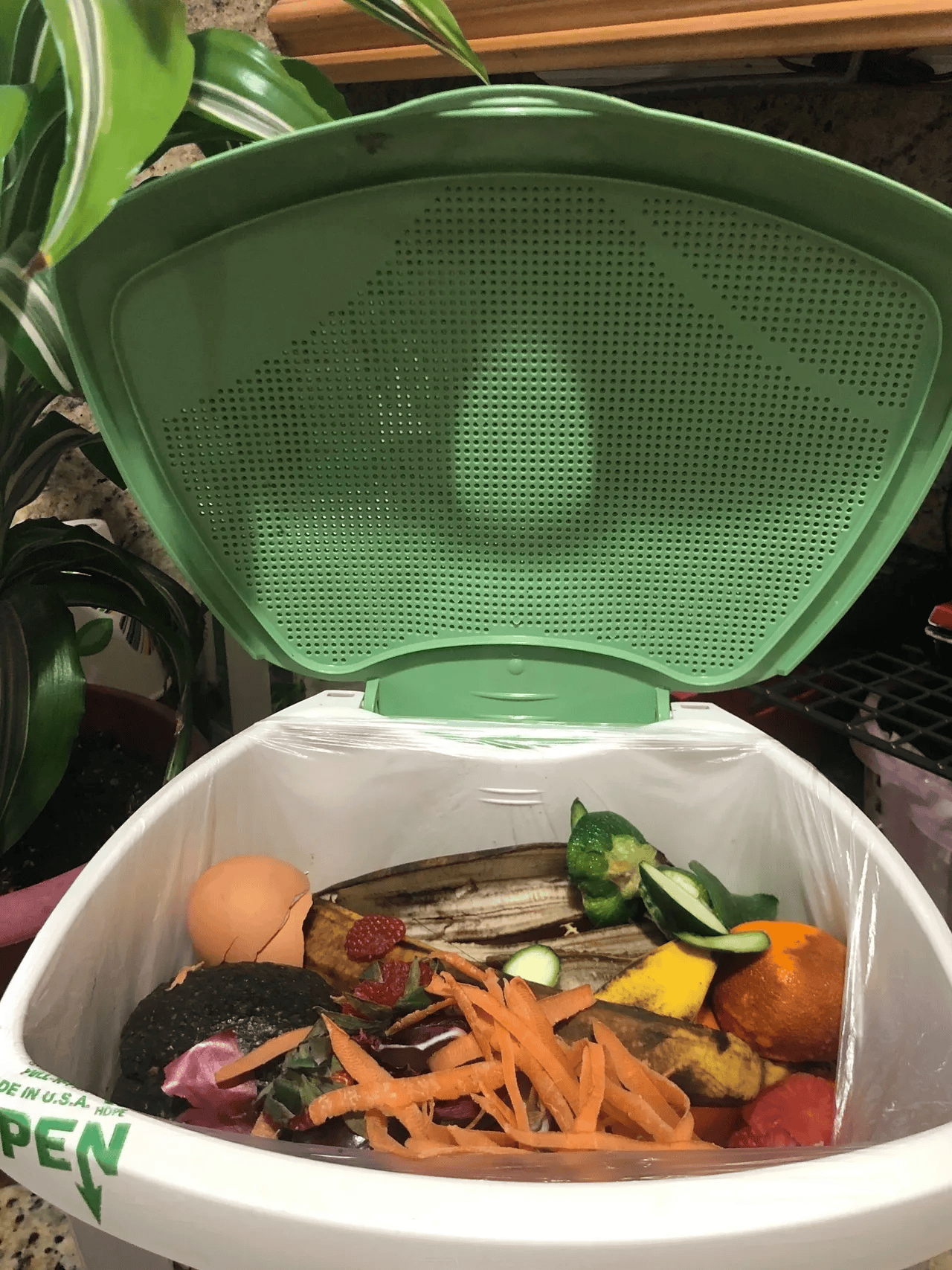 Keep It Fresh: Reducing Food Waste in Hot Weather