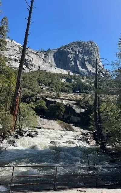 Graduation Season: Navigating the Next Business Climb