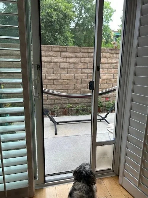 Focus on What Matters (Even When It’s Squirrel Season)