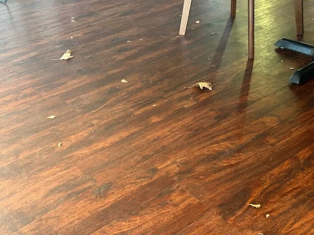 Not Everything That Blows In Belongs Inside