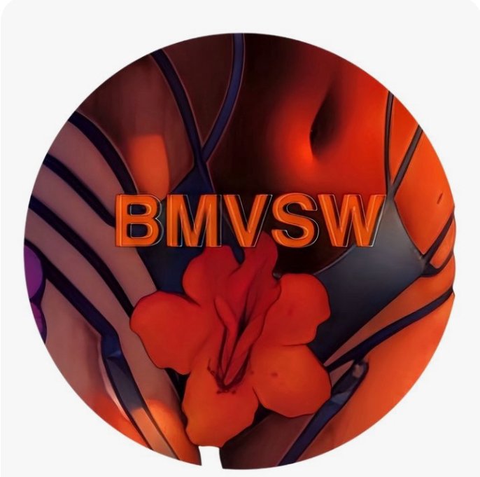 Circular graphic with the letters 'BMVSW' over a floral and abstract background in orange, red, and purple hues.