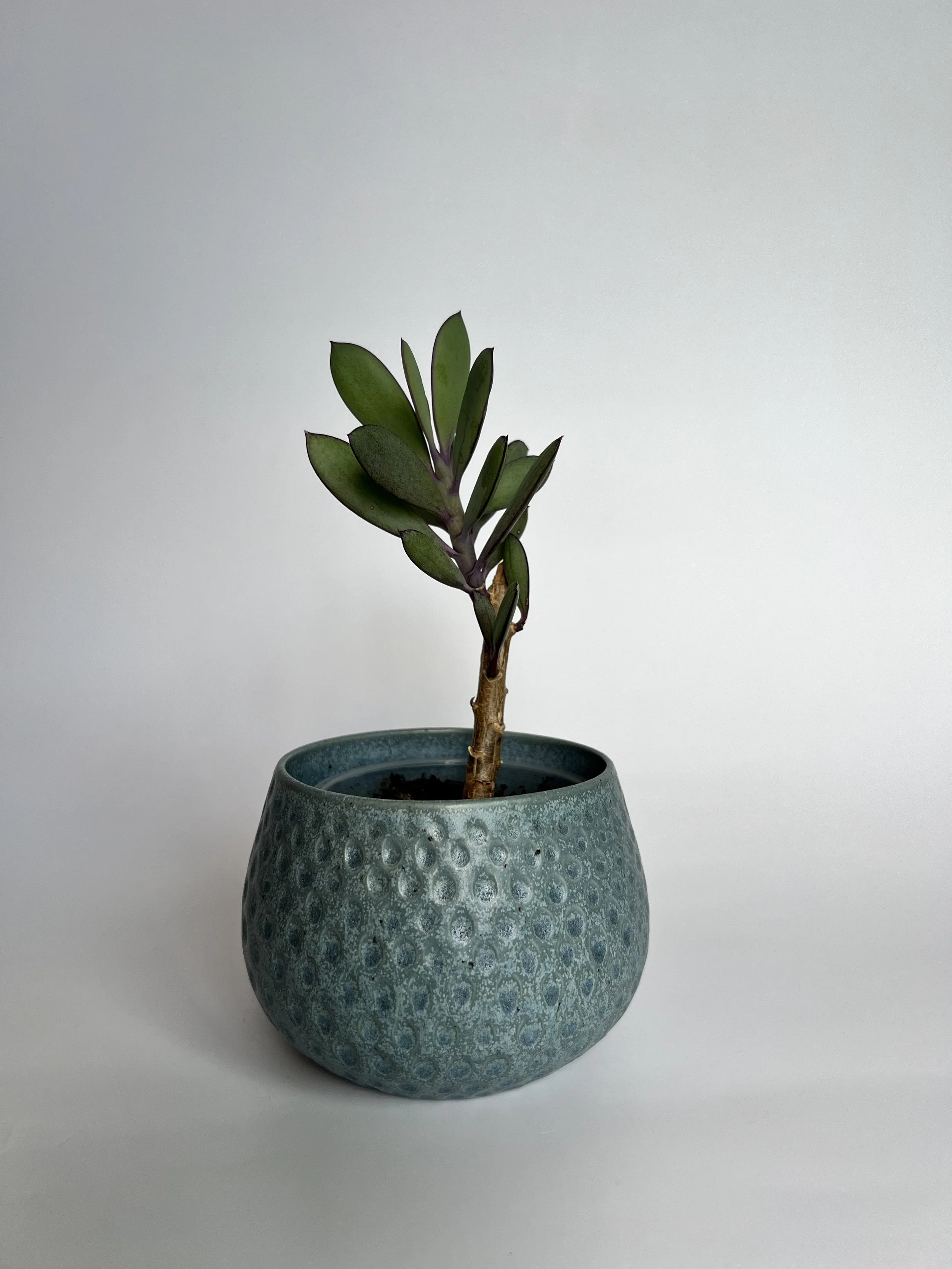 Seafoam Planter