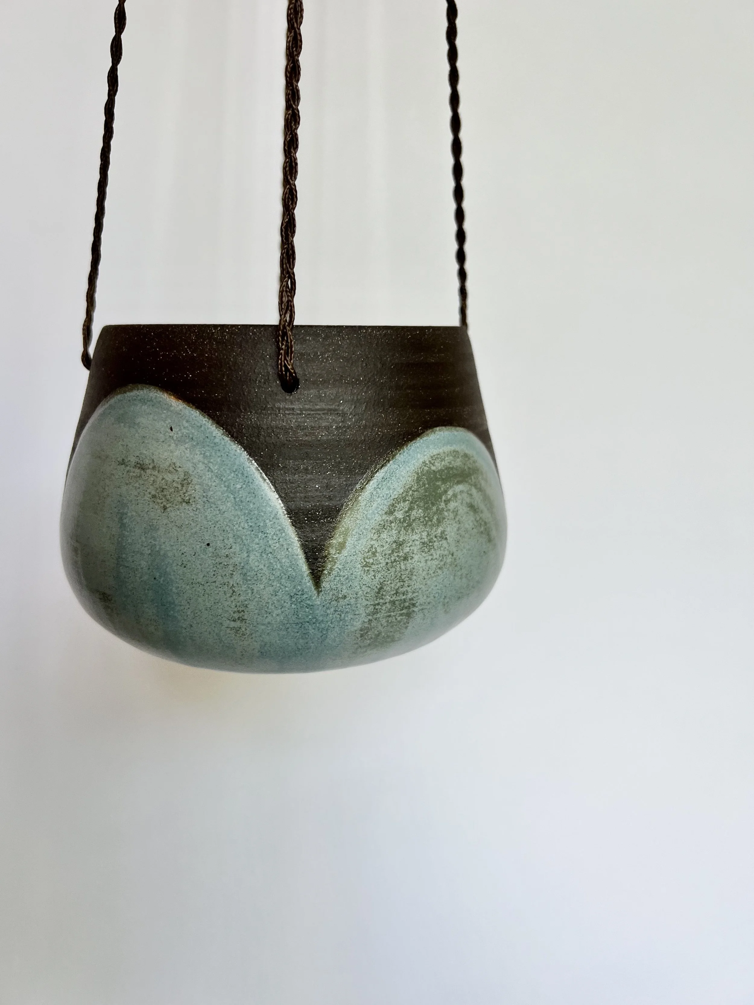 Cove Hanging Planter