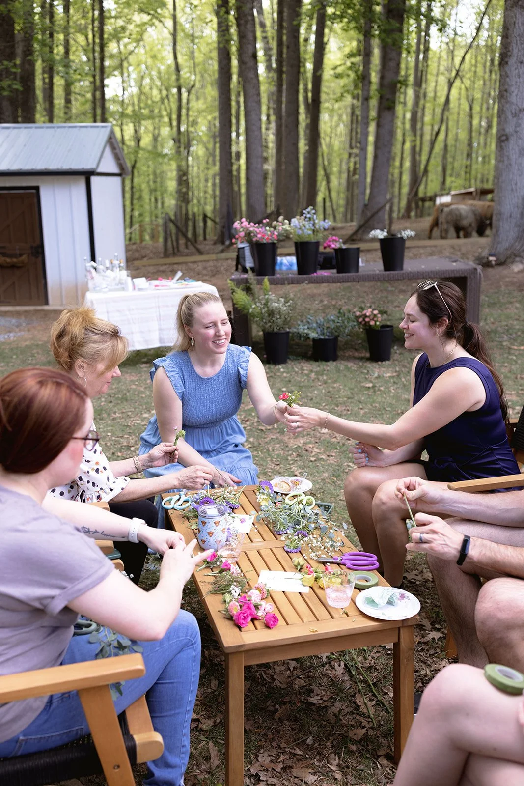 Blossomist Farm 52.jpg