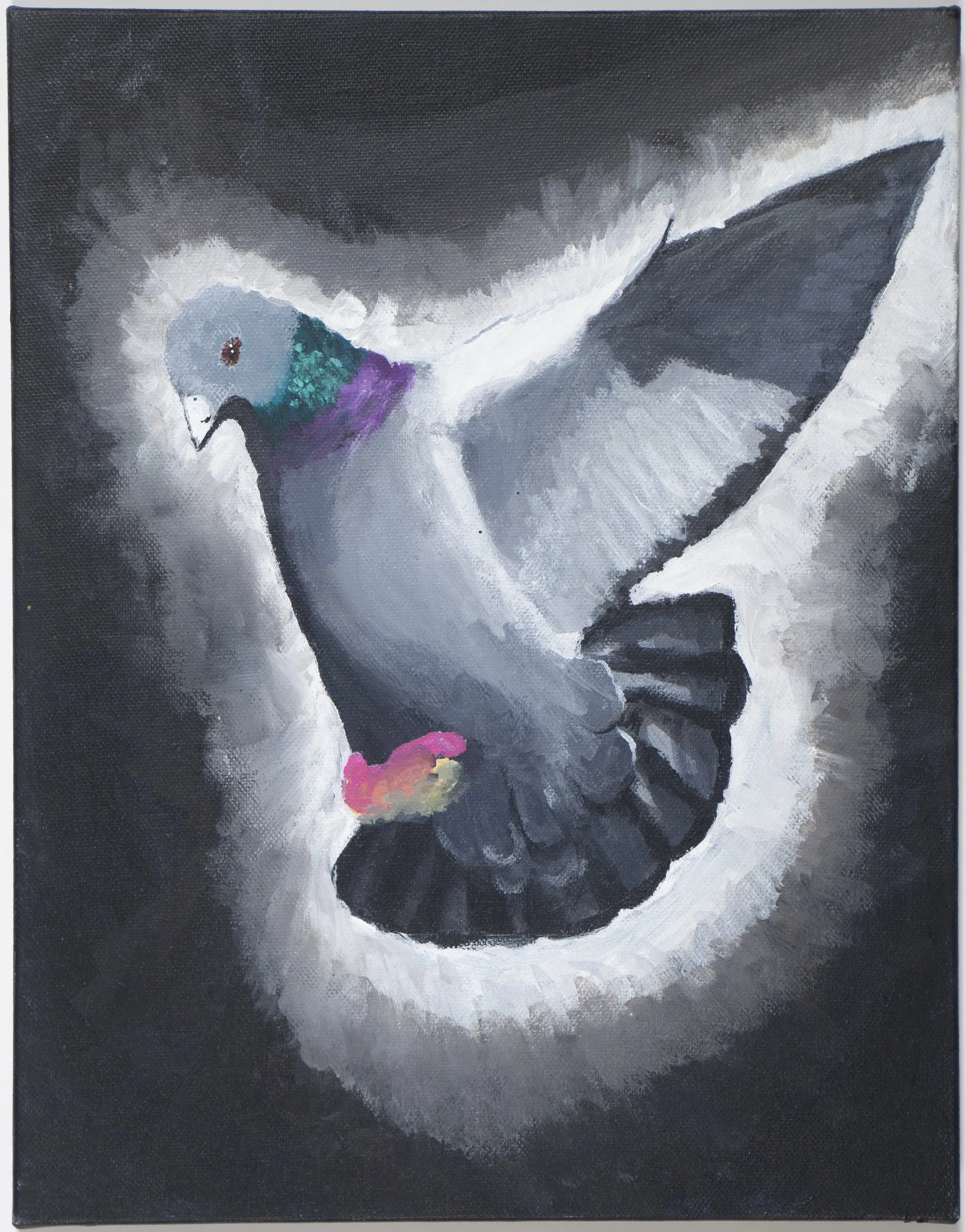 Chloe Nieberding portfolio work 5- Pidgeon.jpg