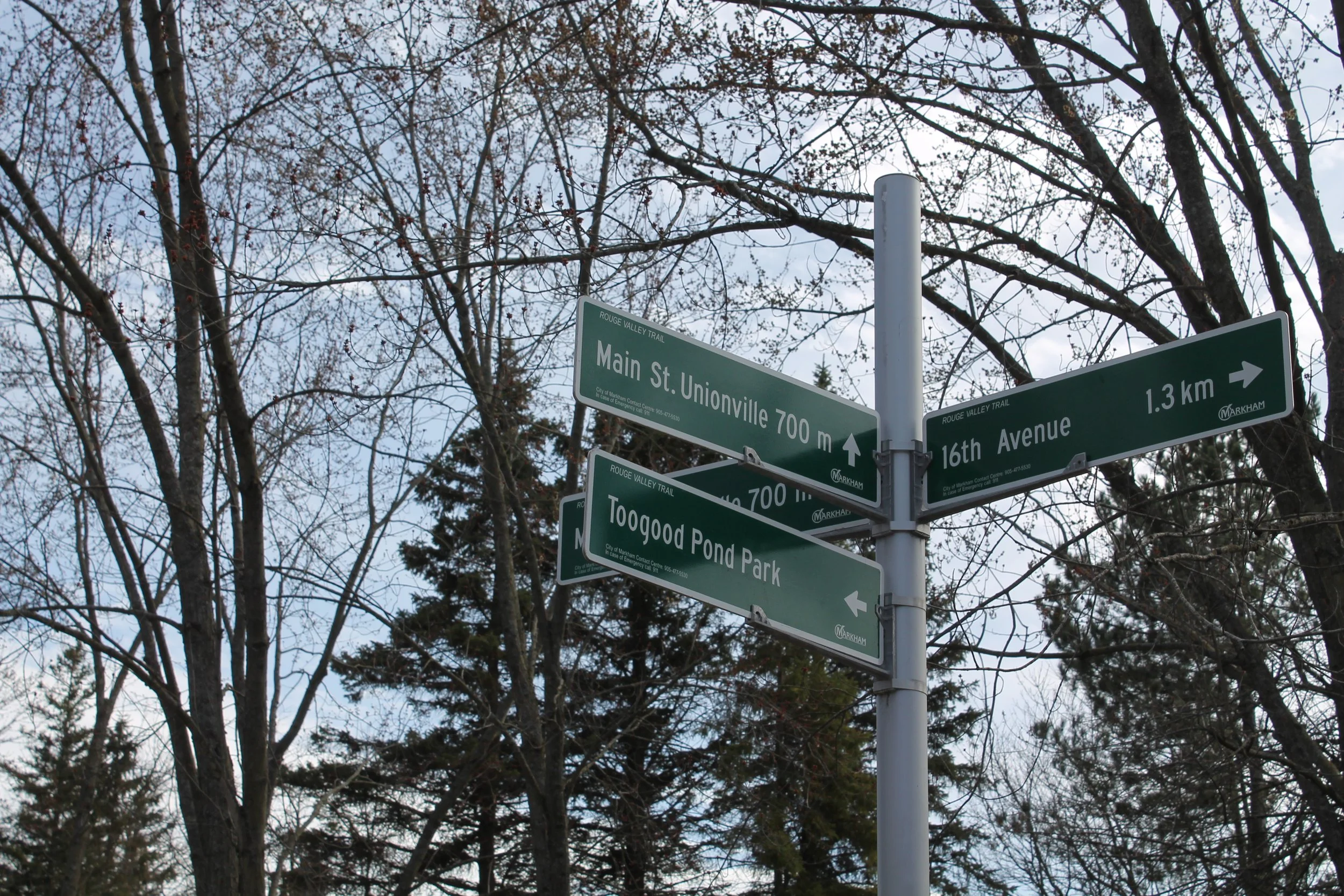 Street signs at an intersection showing directions to Main St. Unionville, 700 meters ahead; 16th Avenue, 1.3 kilometers to the right; and Toogood Pond Park to the left. Bare trees and some evergreen trees are visible in the background.