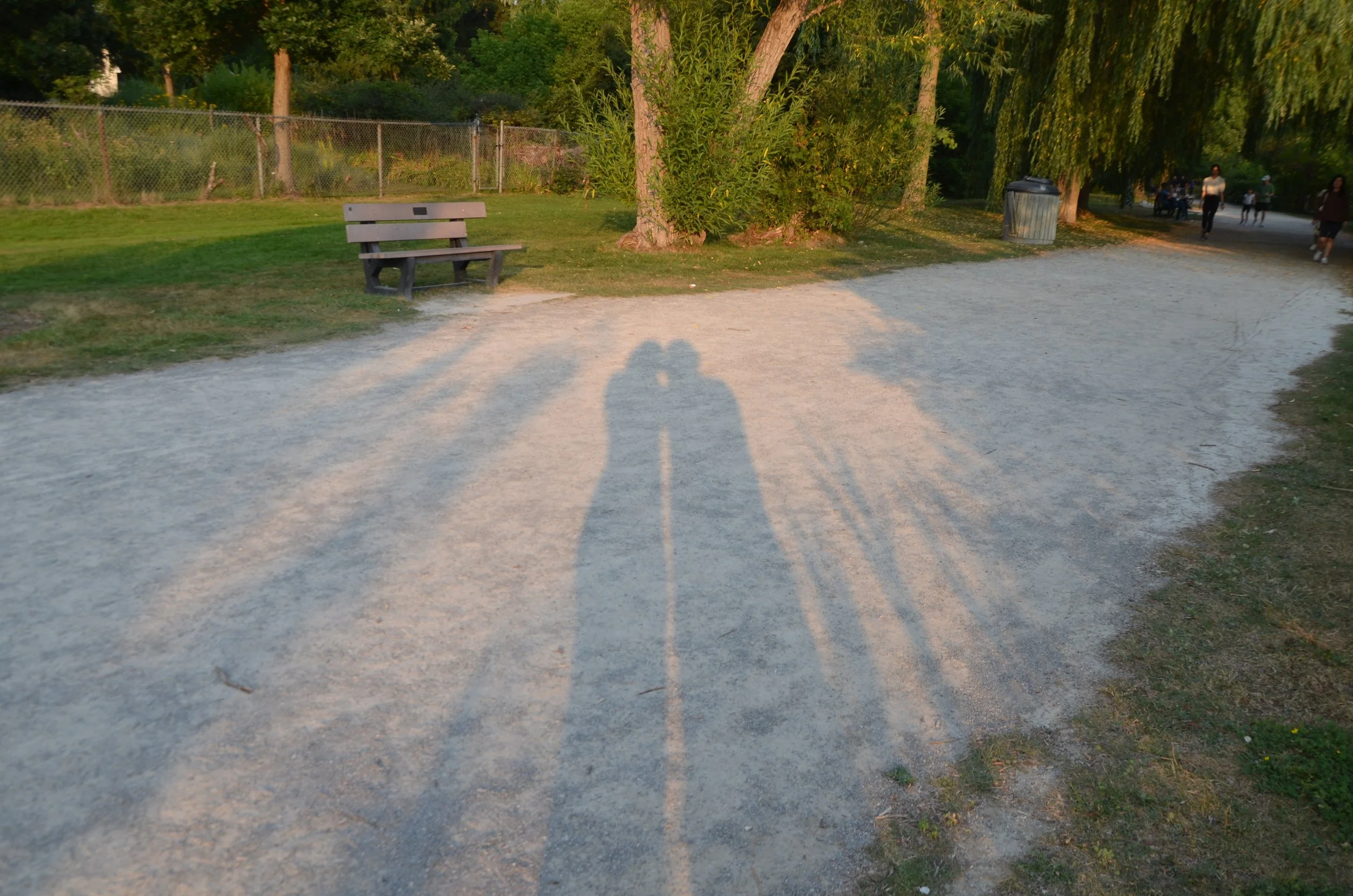 Shadow of two people forming a heart shape, cast on a gravel path in a park during sunset, with benches, trees, and other park visitors in the background.