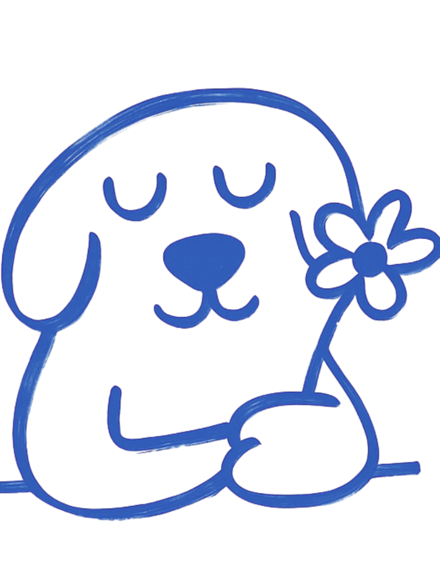 Kelsey's K9s - Professional Vancouver Dog Walking &amp; Training