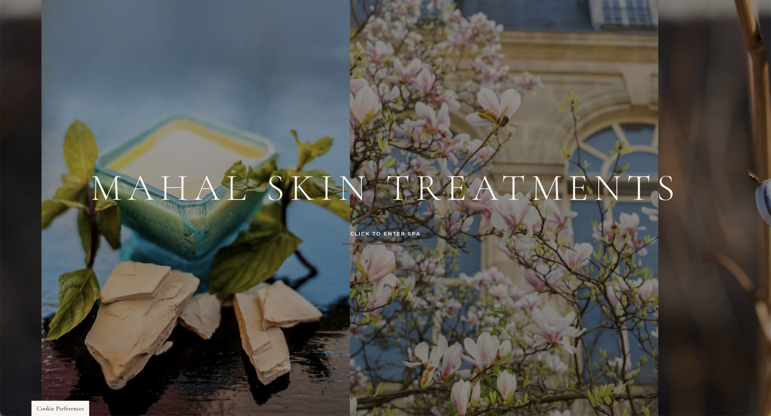 Spa website home page with a background split into two scenes: on the left, natural skincare ingredients including soap, herbs, and clay; on the right, a blooming tree with pink flowers and a classical building facade behind.