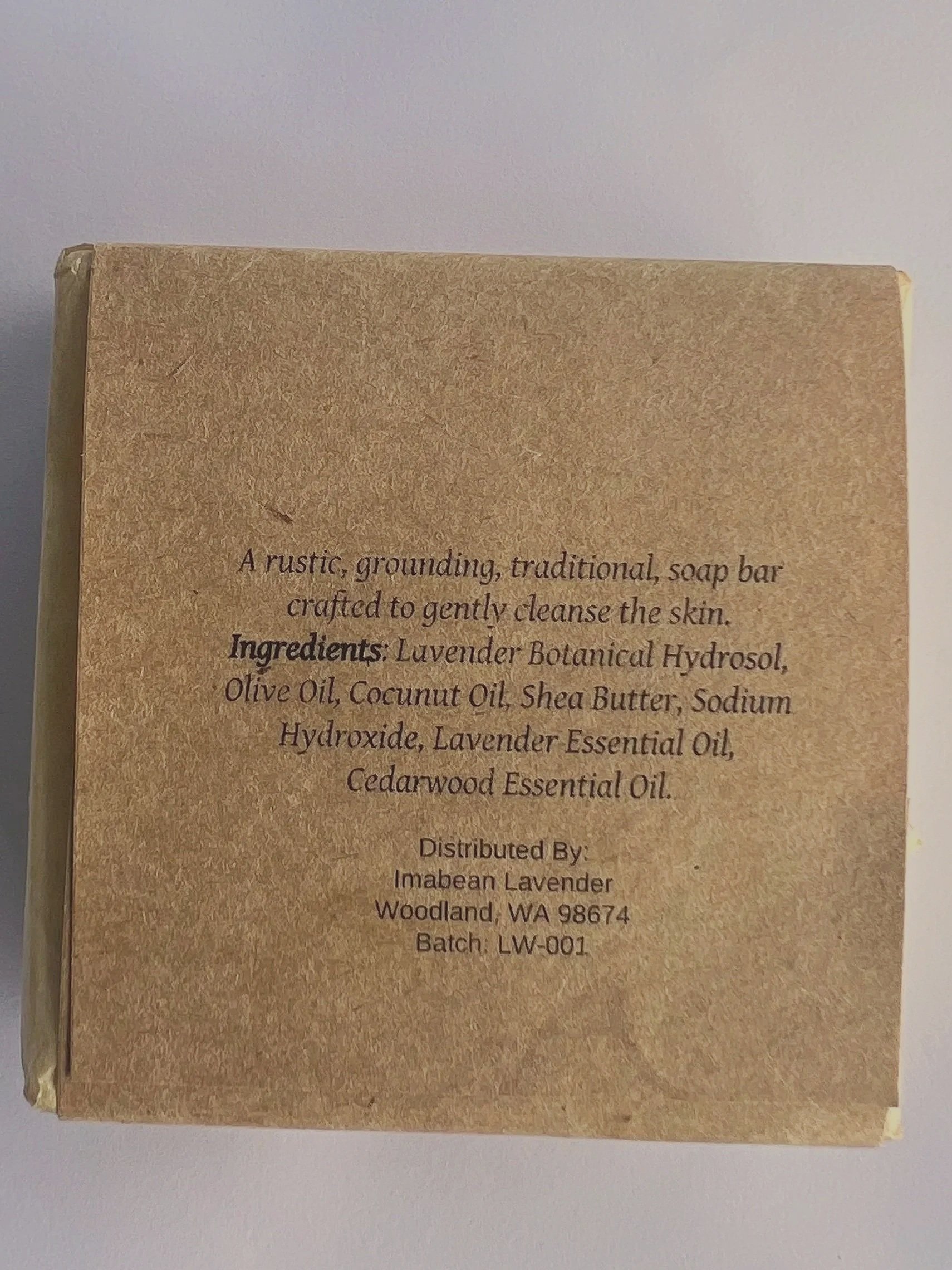 woodland%252Bback%252B%2525281%252529.jpg