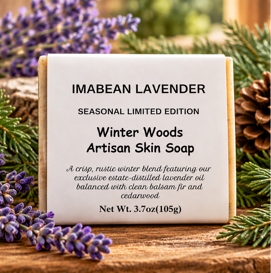winter woods front.png
