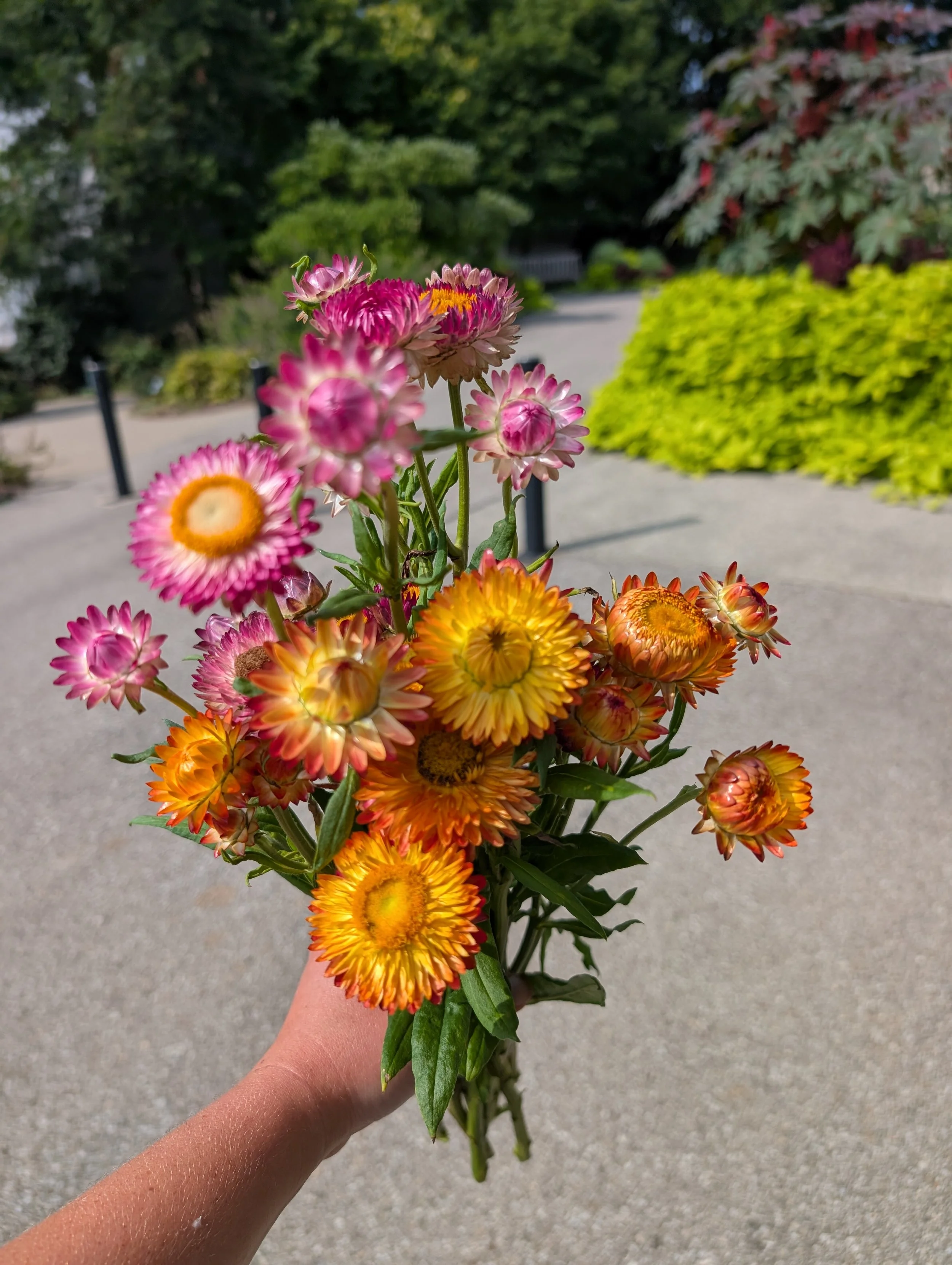 August Bouquet