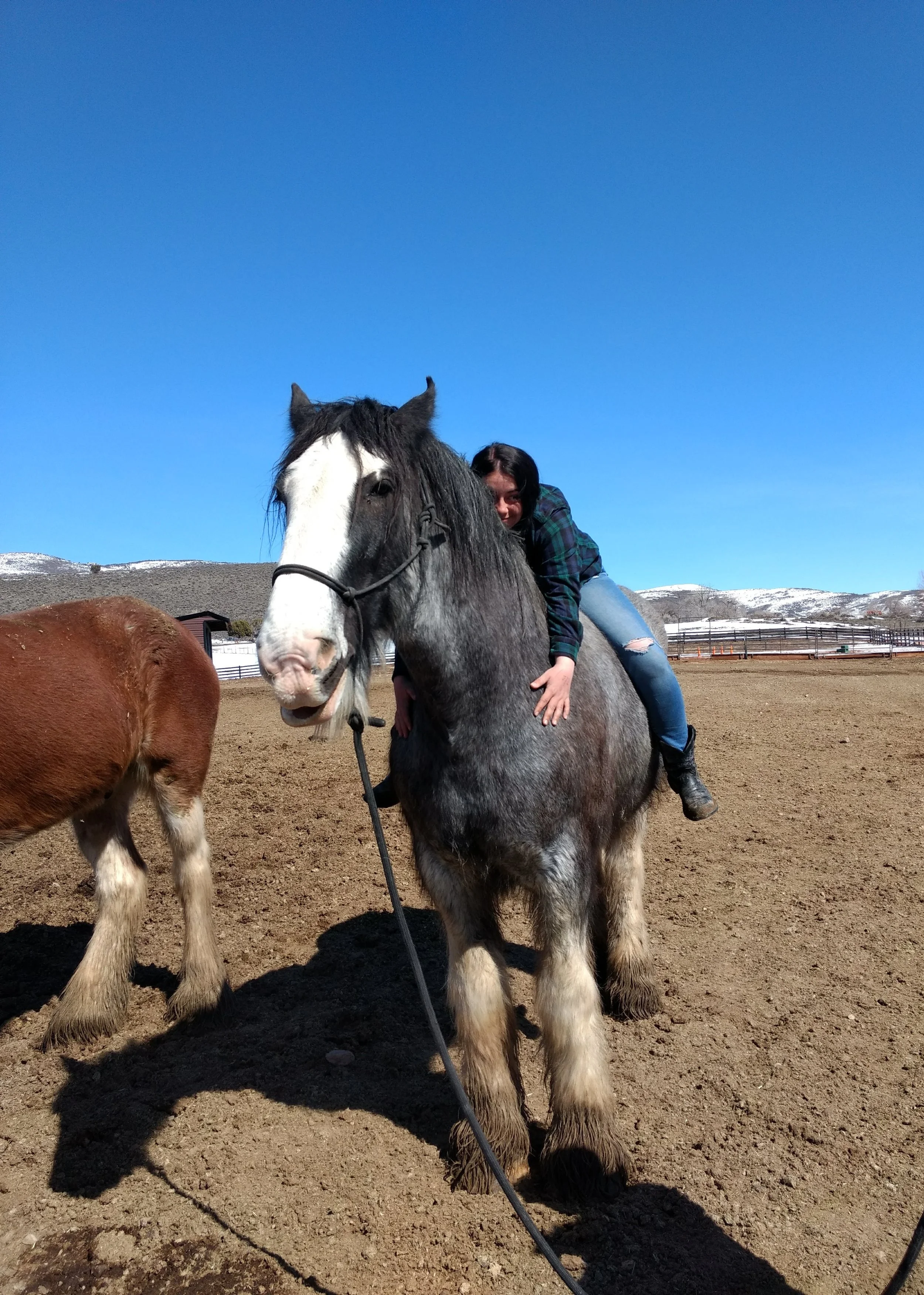 A woman is riding a large gray and white horse on a dirt field with clear blue sky and snow-capped mountains in the background. The woman is smiling and dressed in a green plaid shirt and jeans.