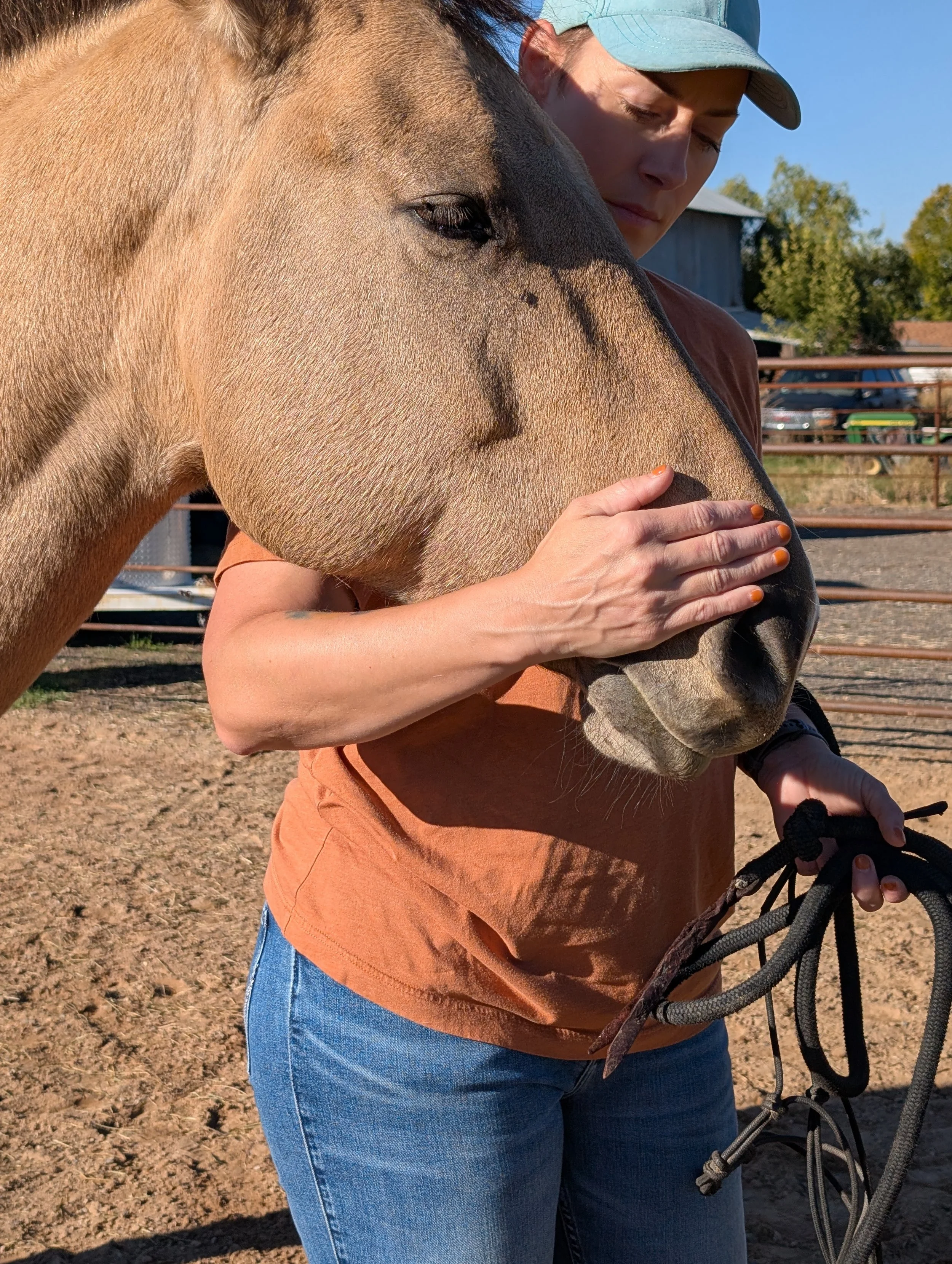 A woman gently petting a horse on its face outdoors on a sunny day.