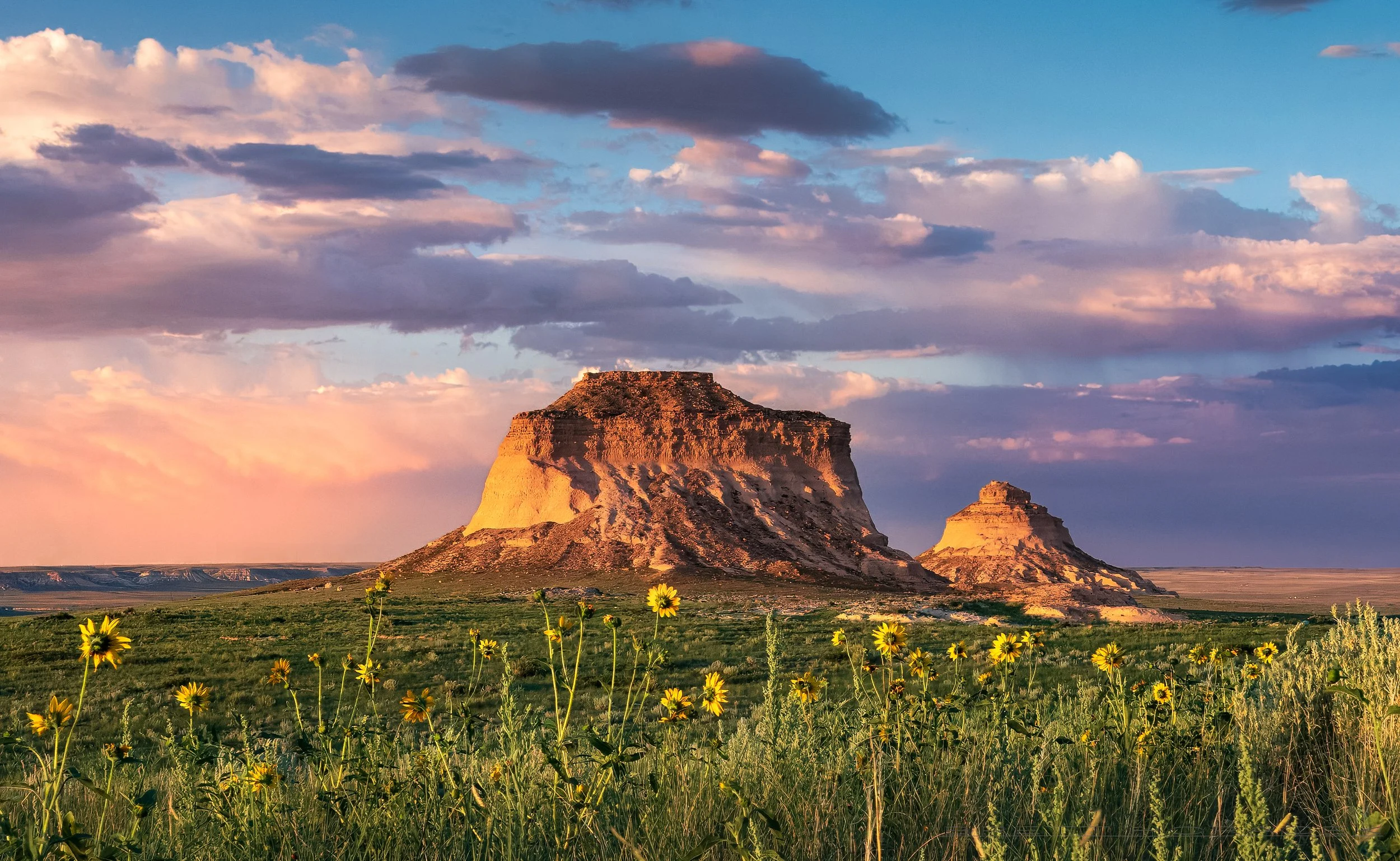 Sentinels of the Eastern Plain