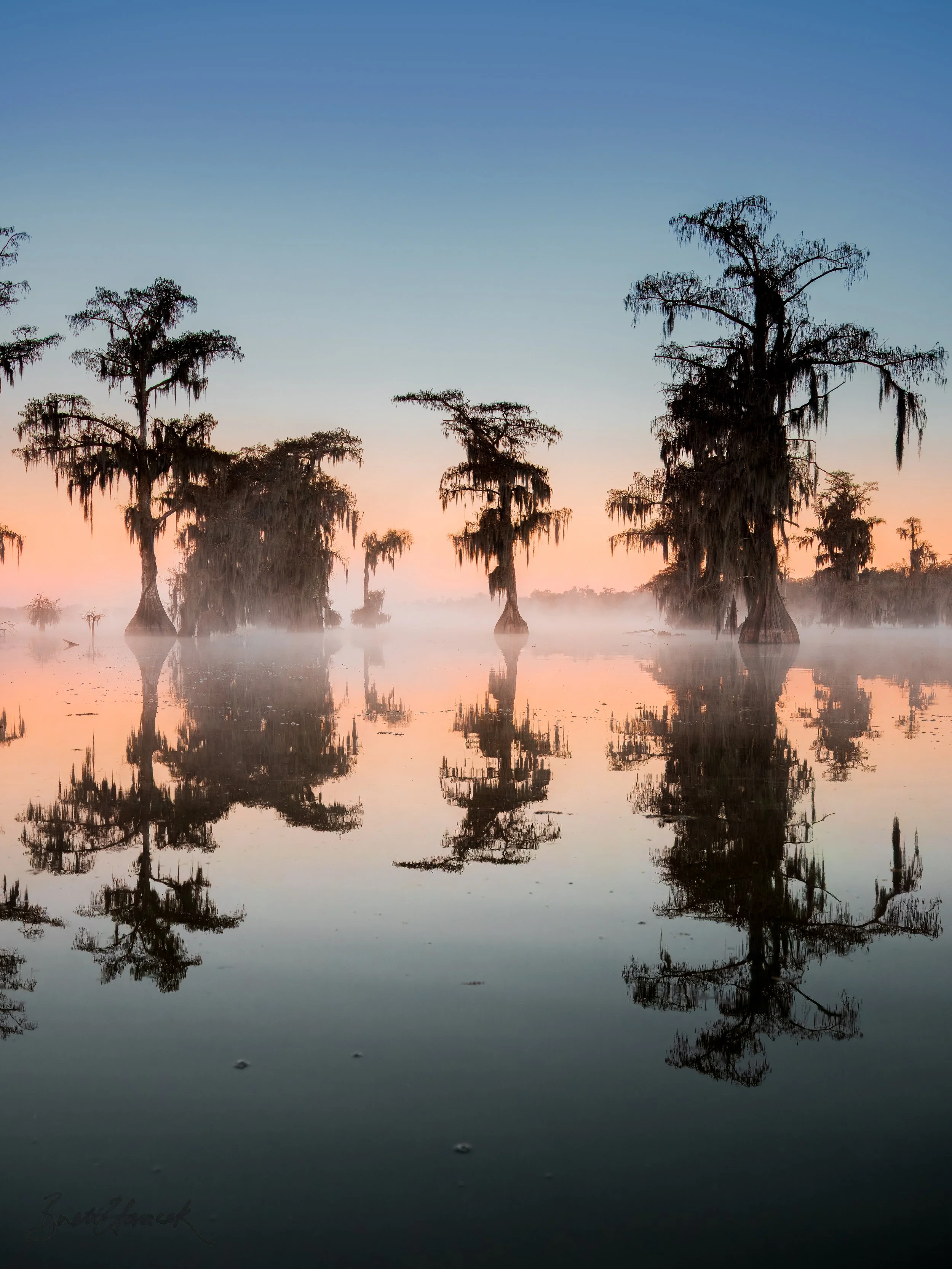 BayouInkBlot (1 of 1).jpg