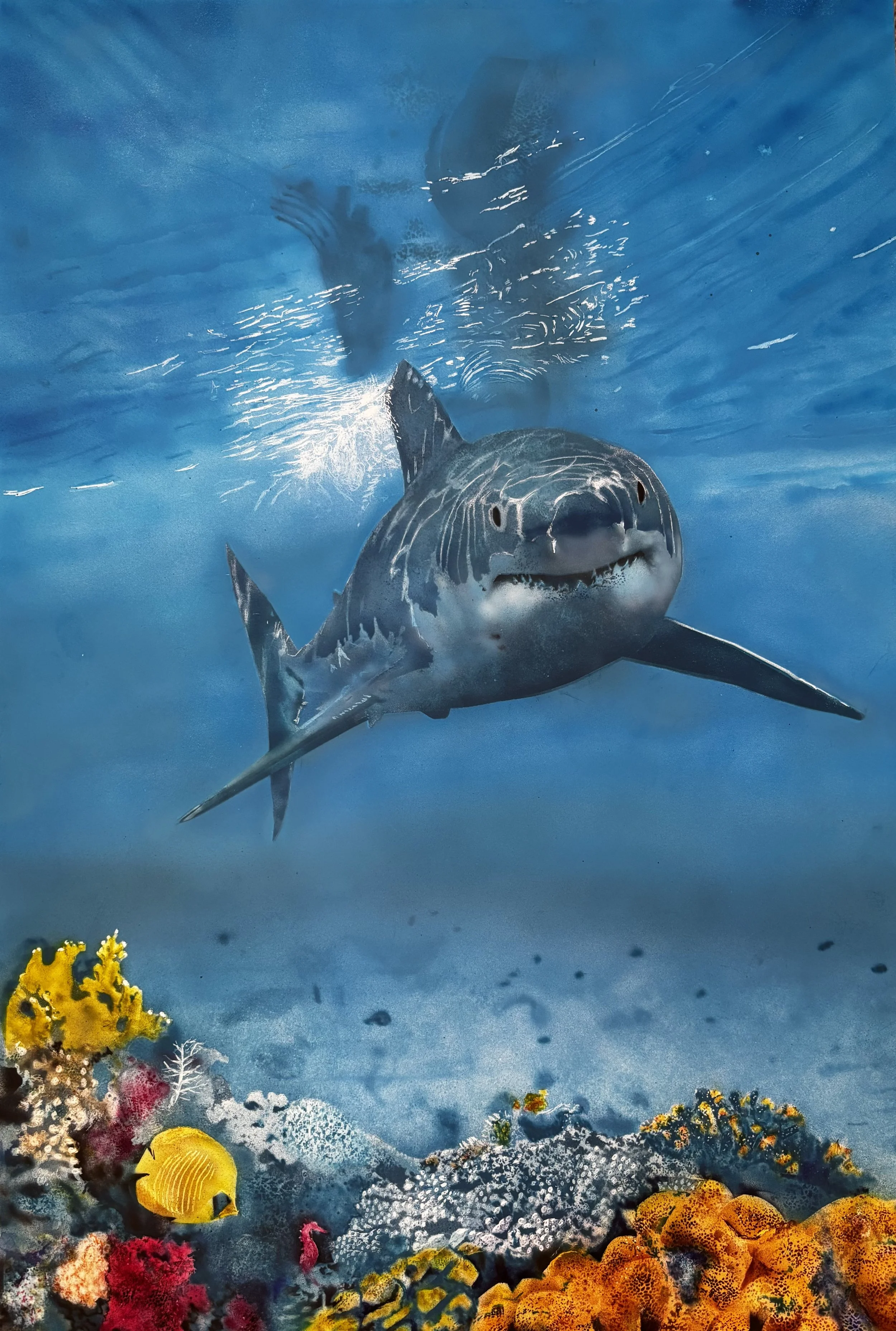 Great White Reef