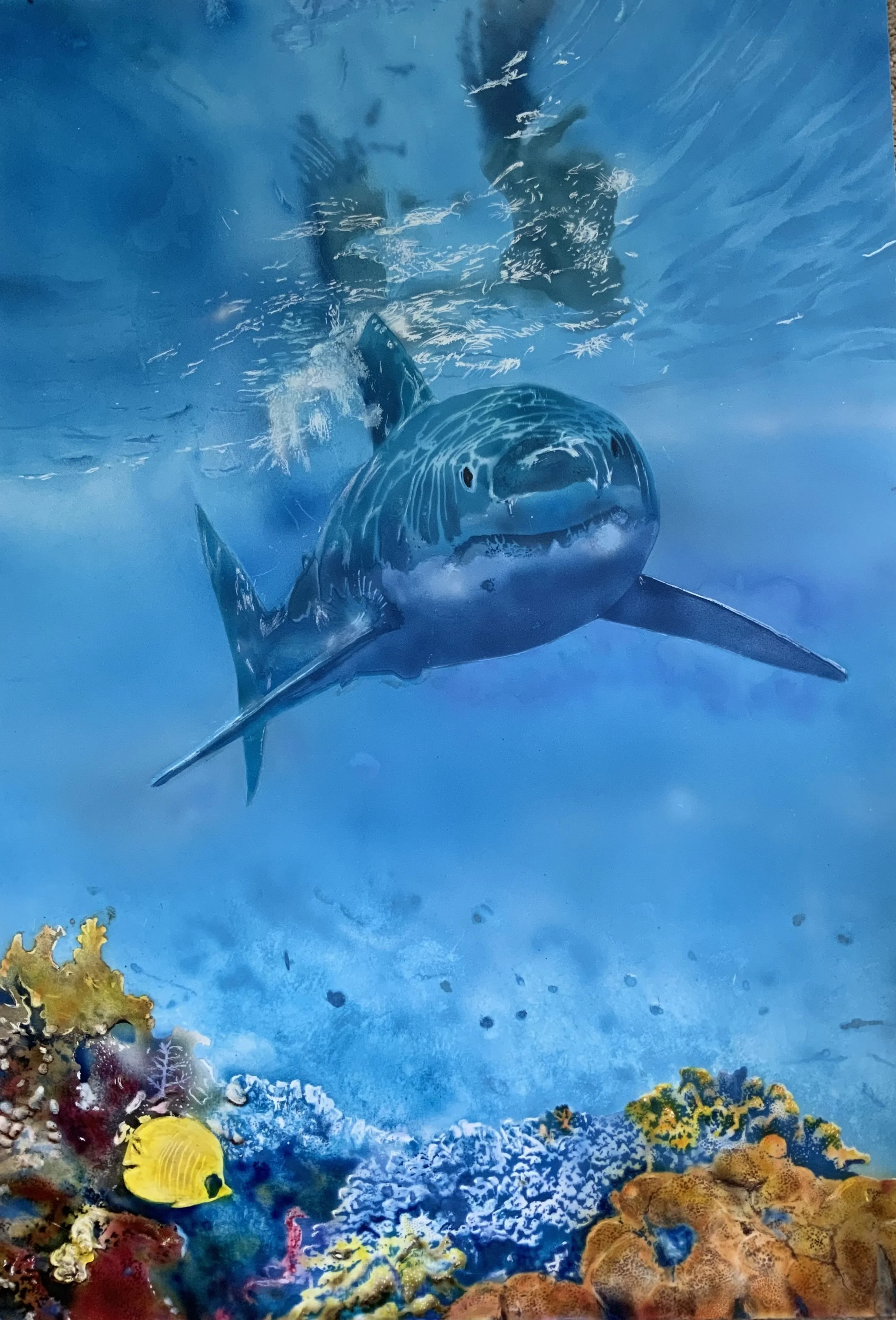 Underwater scene with a large shark swimming over colorful coral reefs and a yellow fish nearby, with blue water and sunlight filtering through the ocean surface.