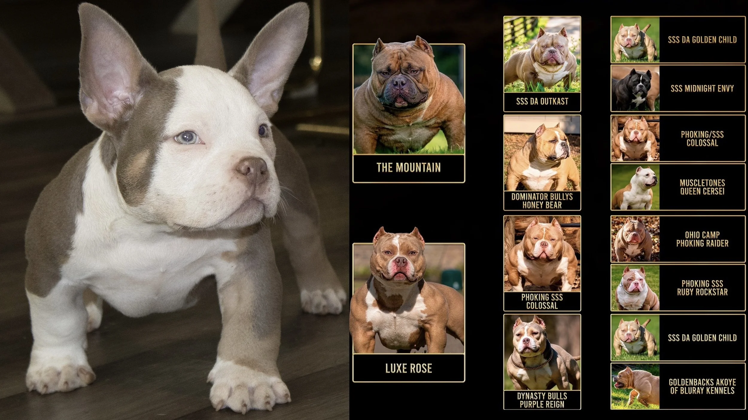DEPOSIT TO RESERVE