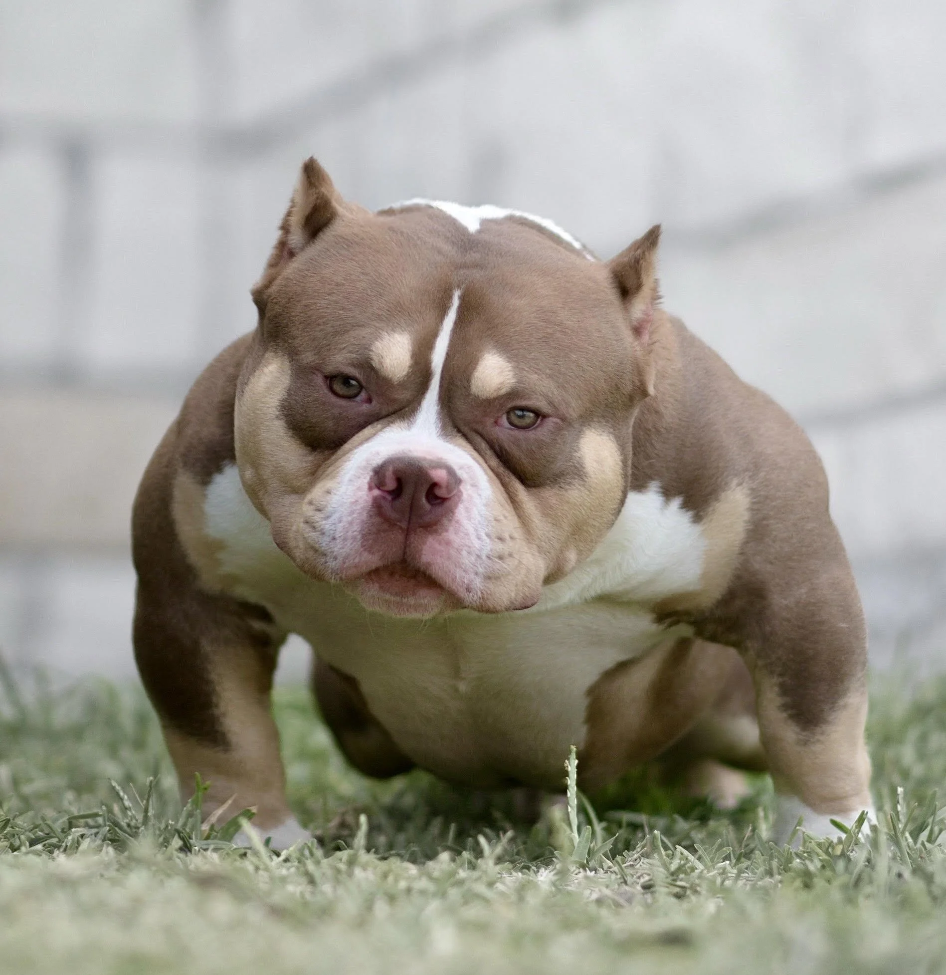 TUNECHI 9 MONTHS.jpg