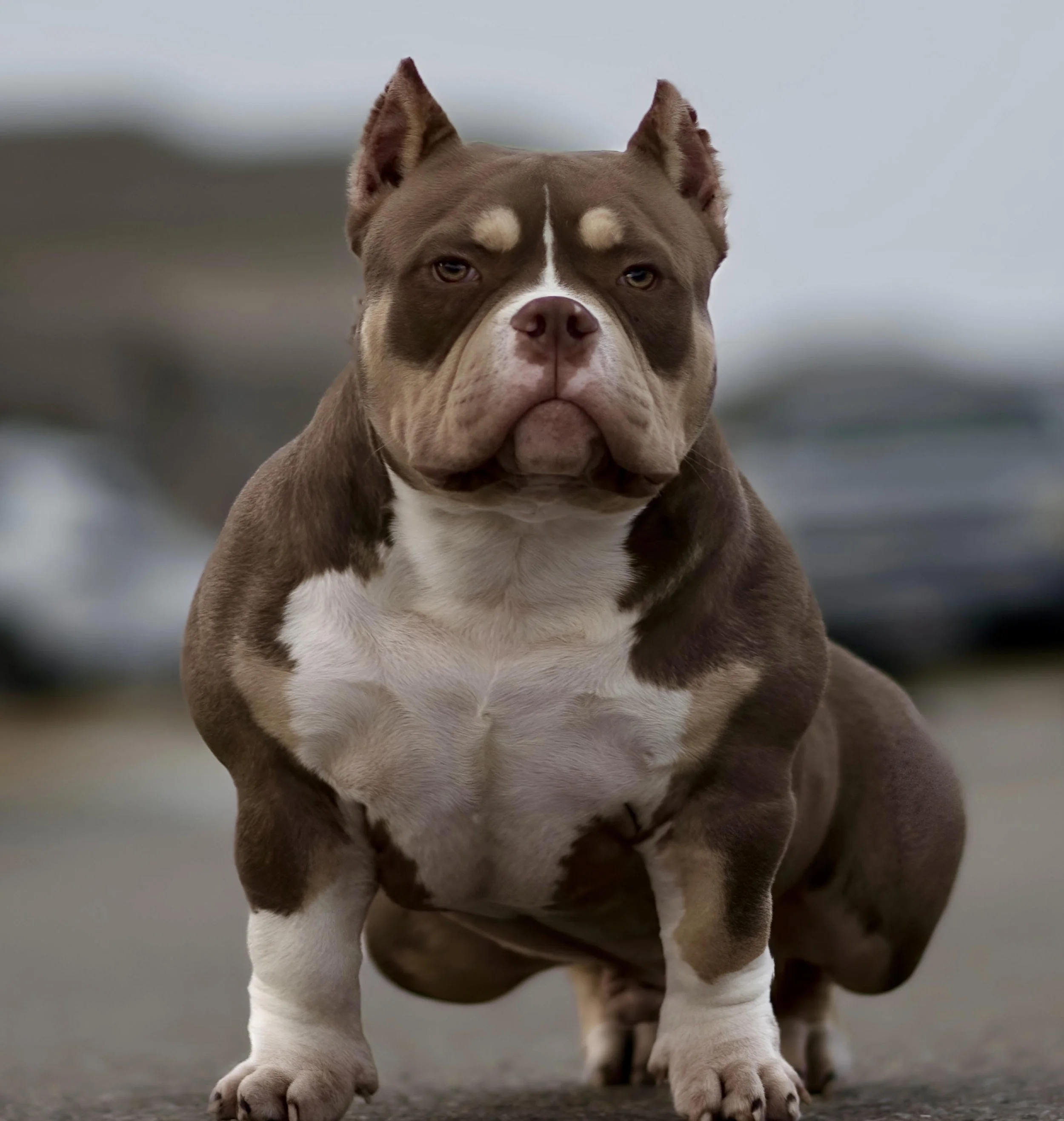 JACKPOT 6 UPDATE.jpg