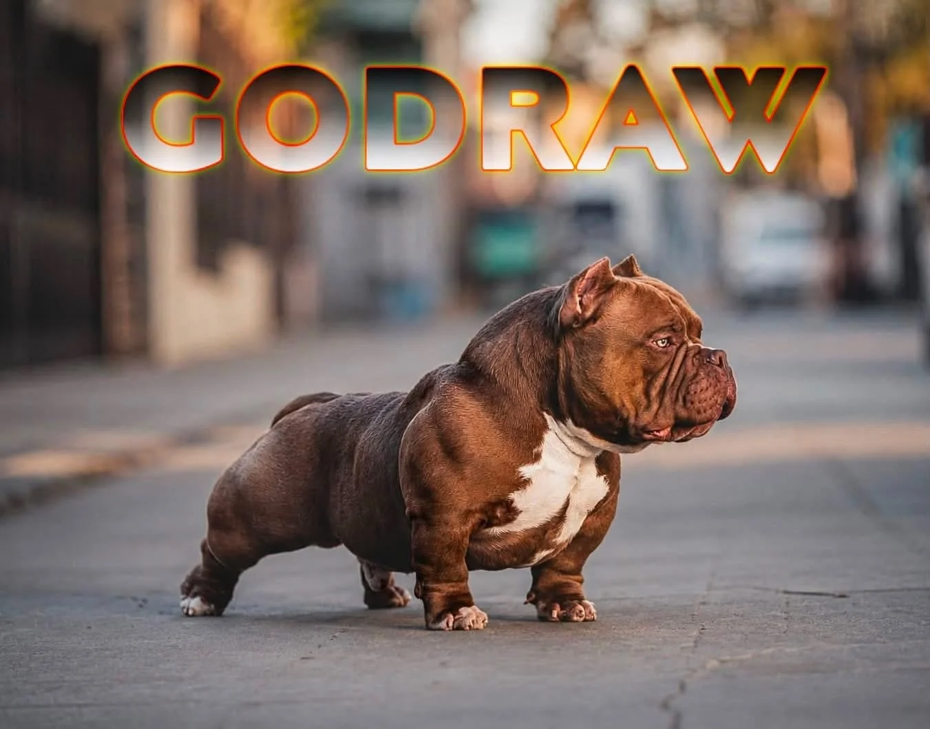 PURCHASE GODRAW CREDIT