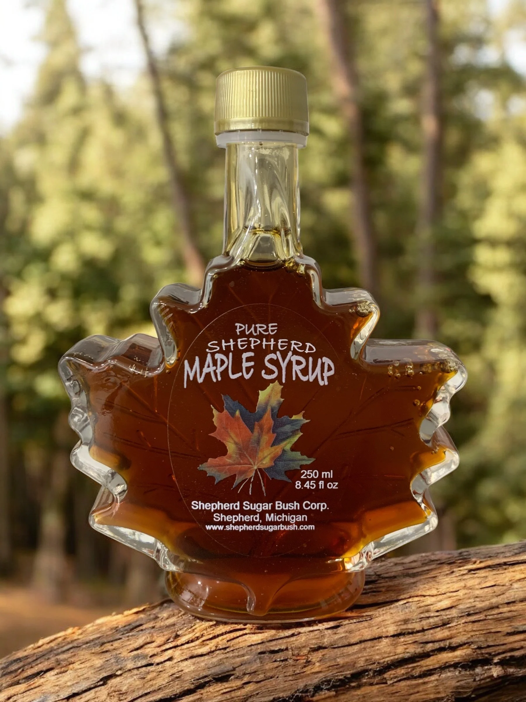 Photoroom_20251005_221714 (1).jpeg