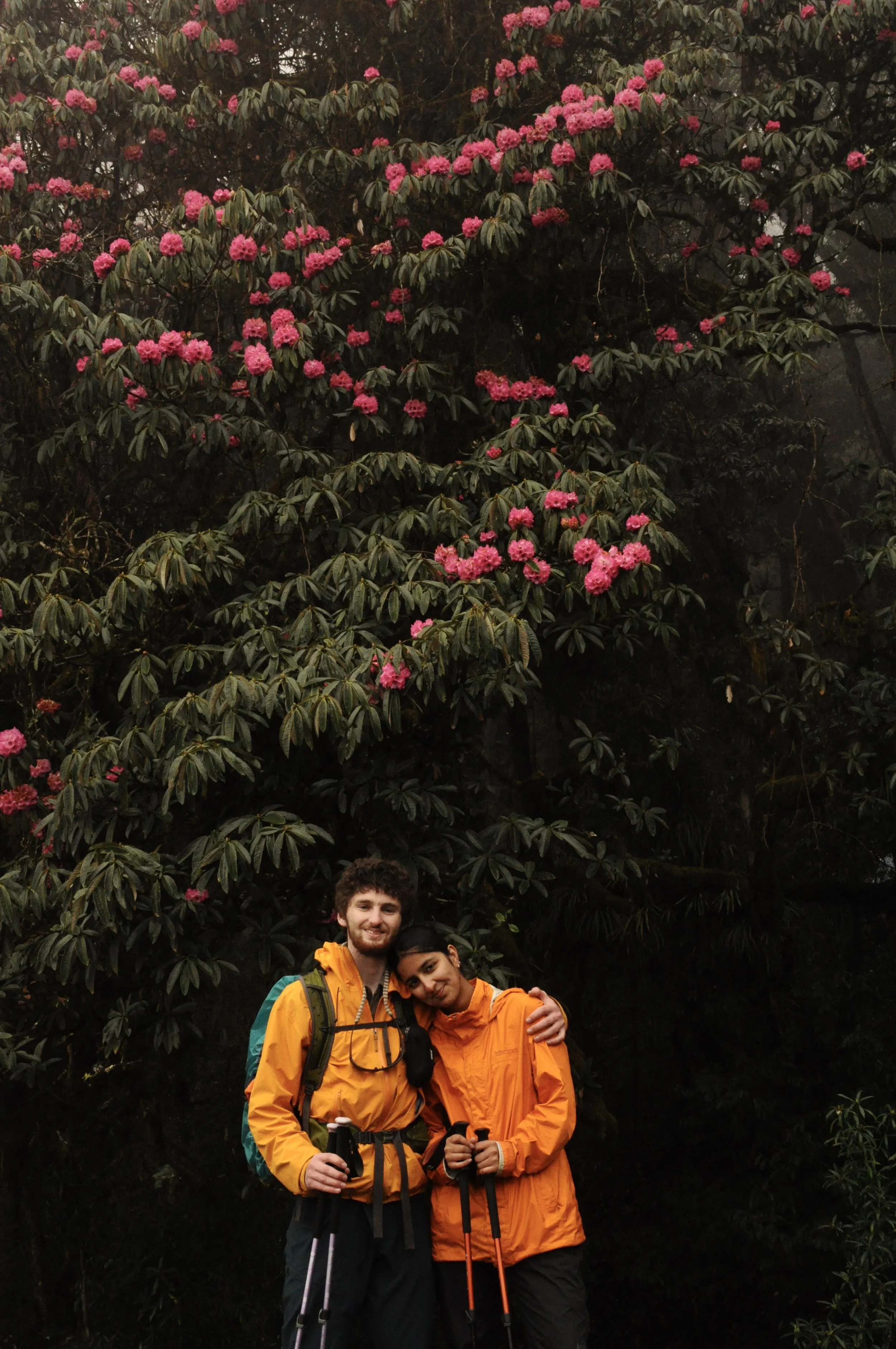DSC_0607.jpeg