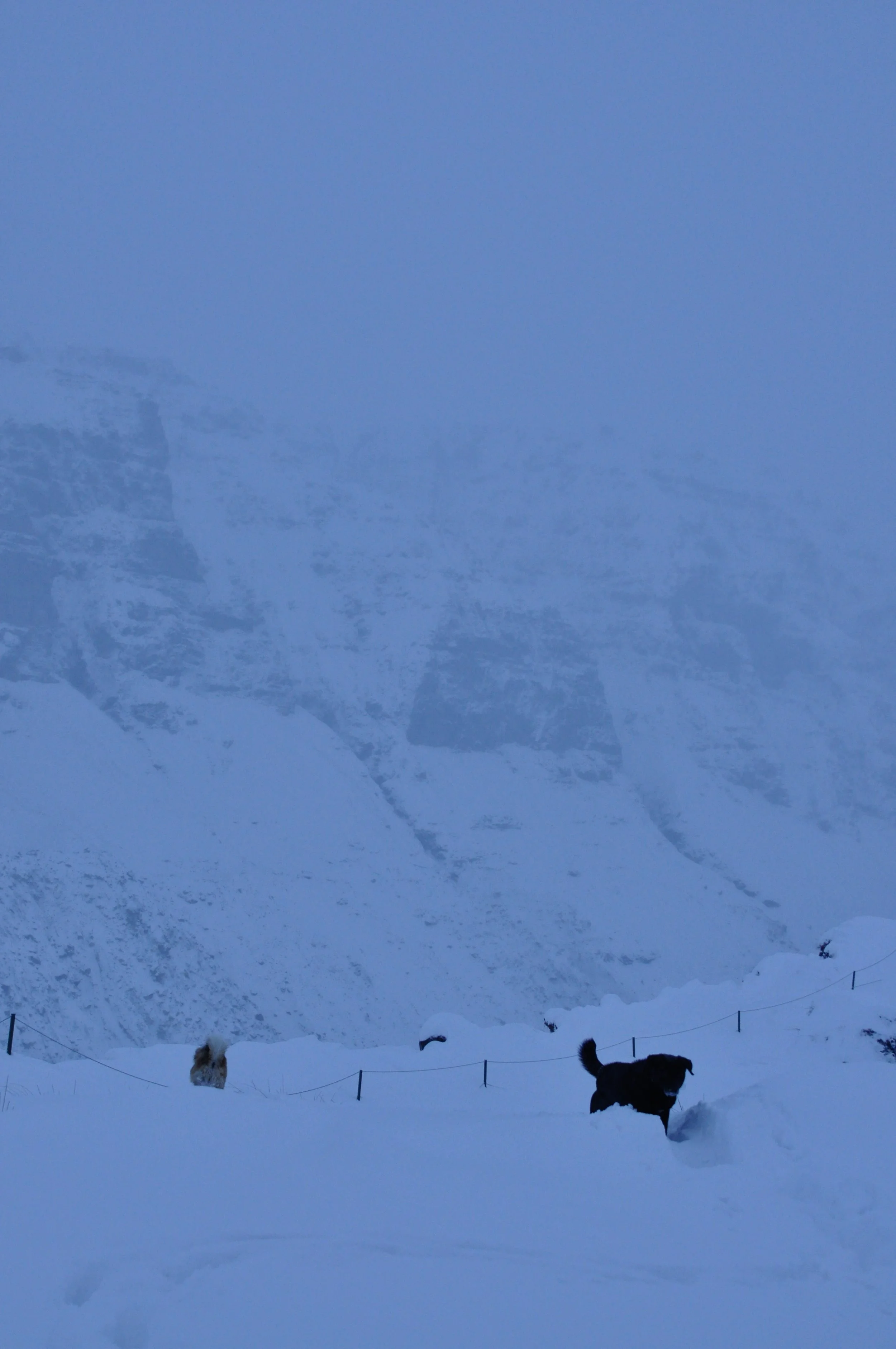 DSC_0540.jpeg
